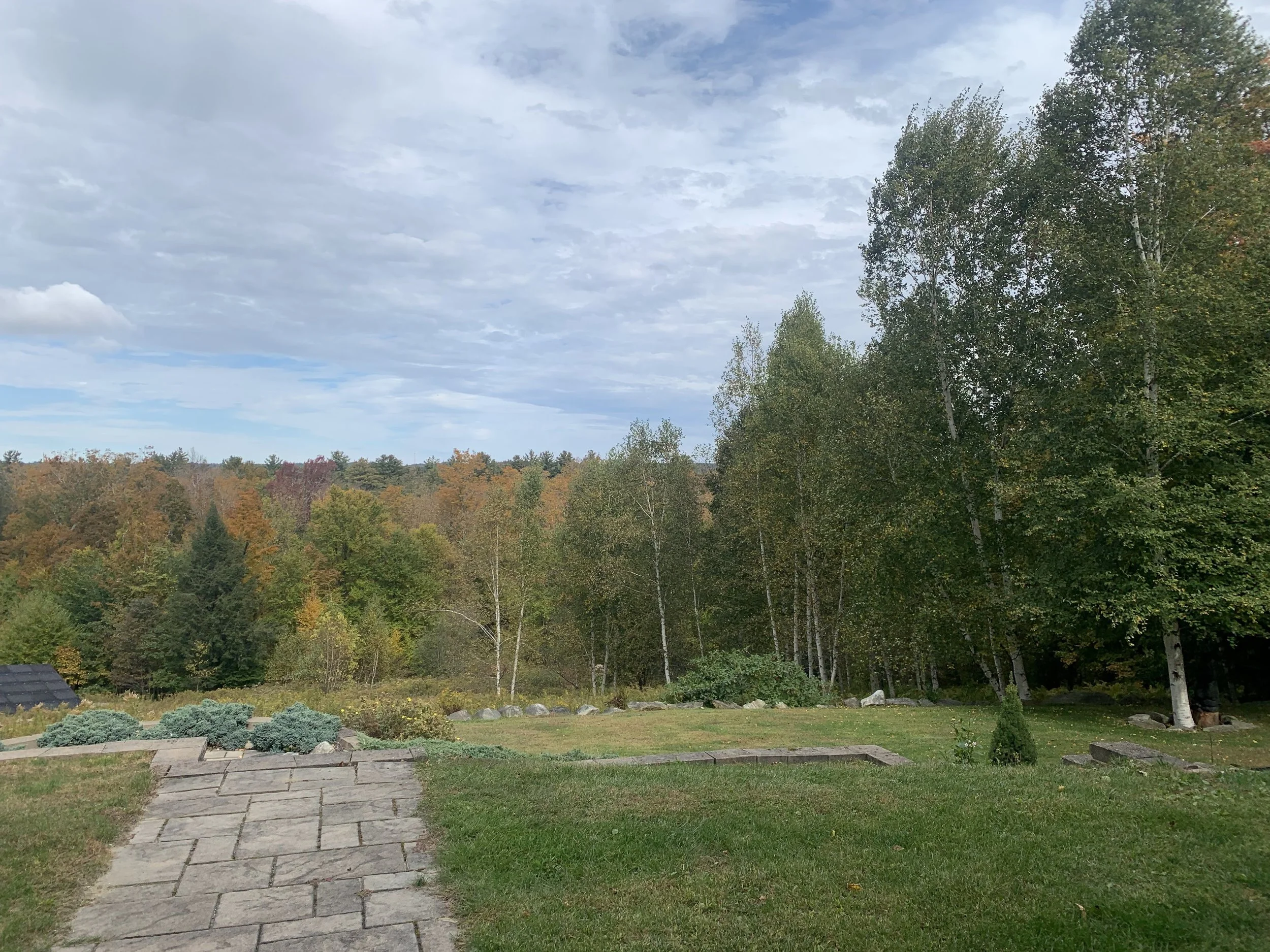 IMG_4469.jpeg