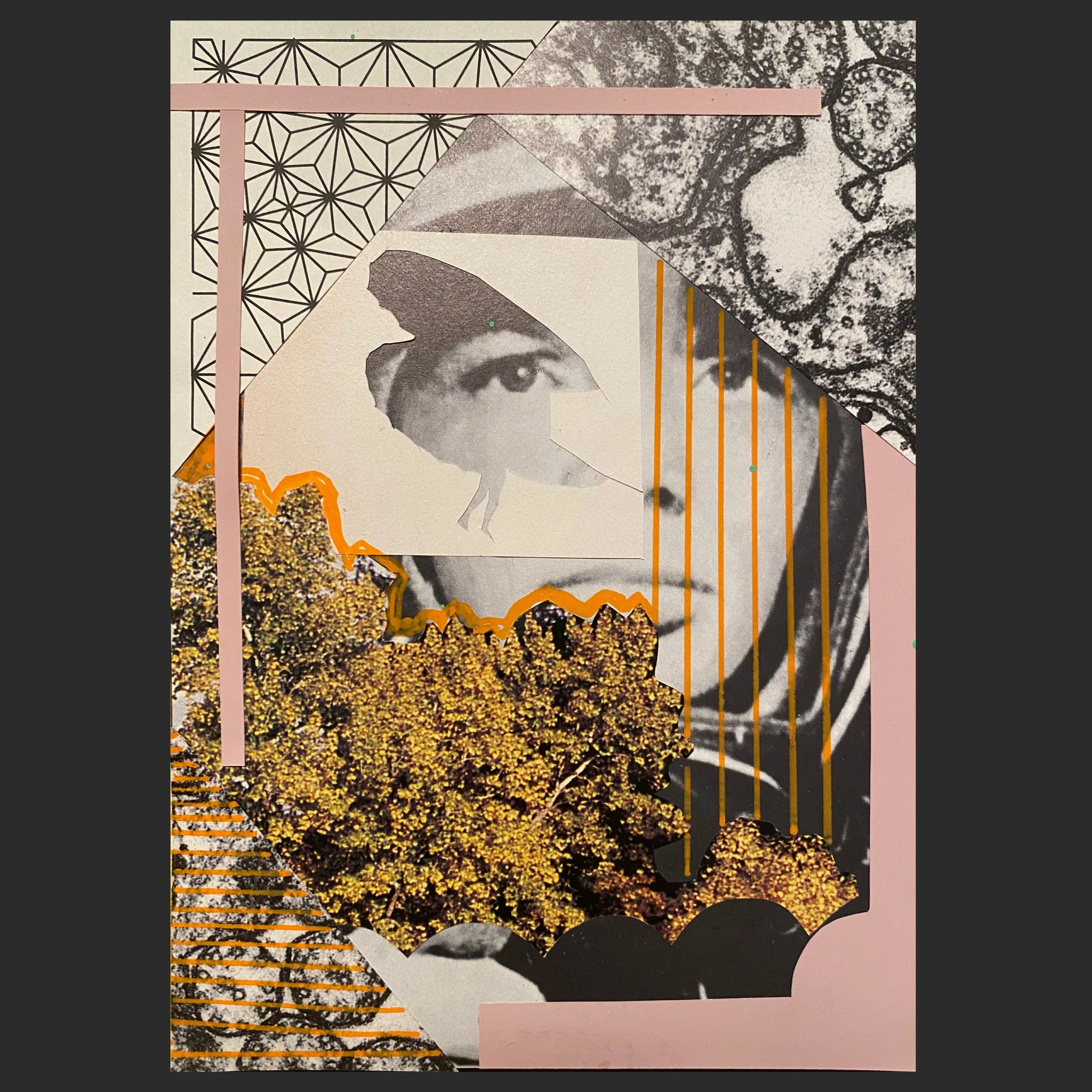 collage04.jpg