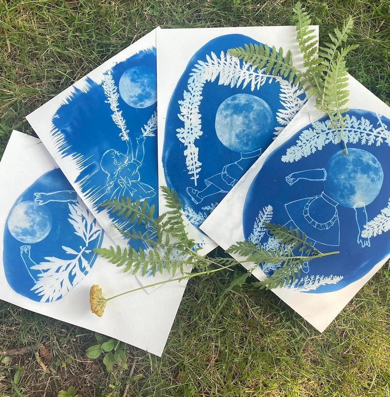 Cyanotypes- Artists for Choice