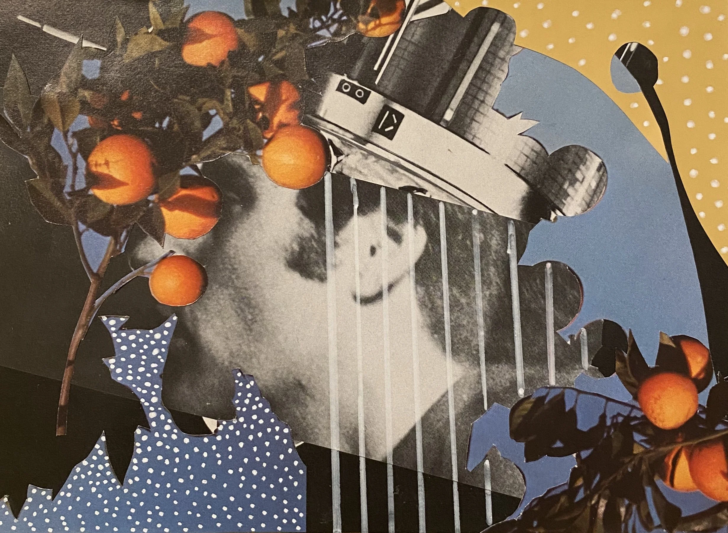 collage07.jpg
