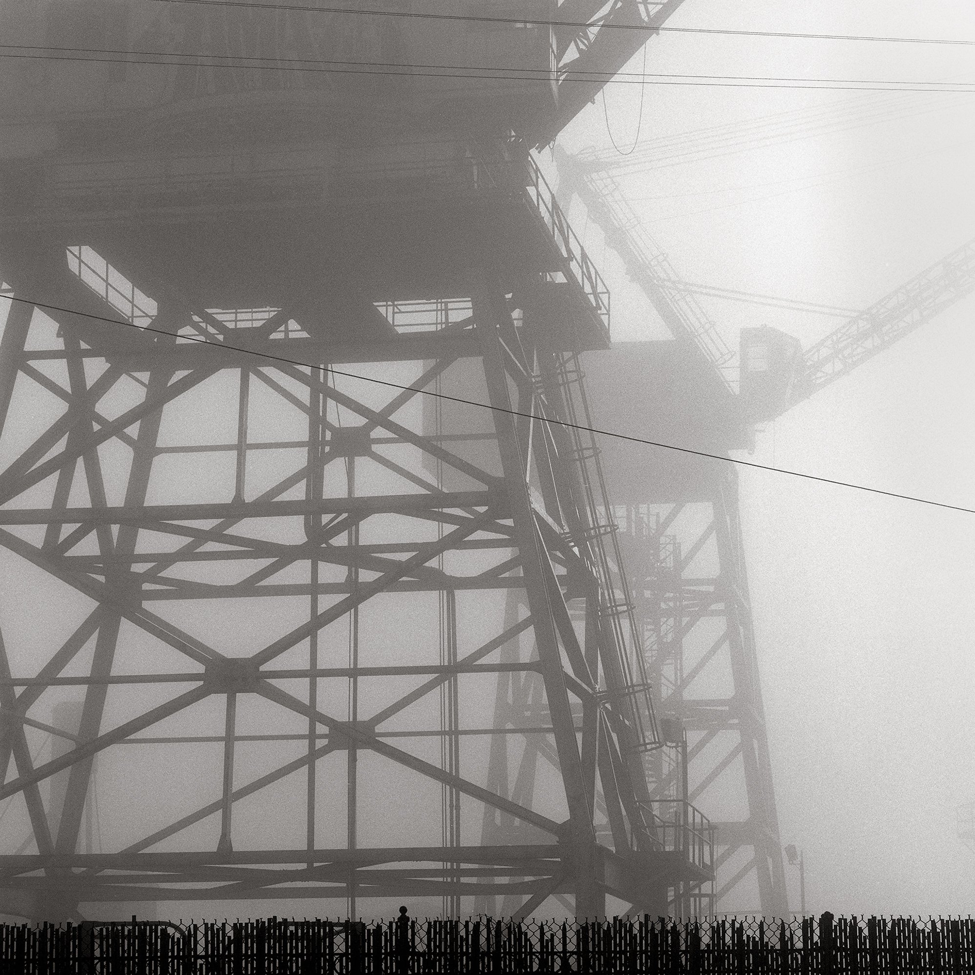Crane, Dogpatch