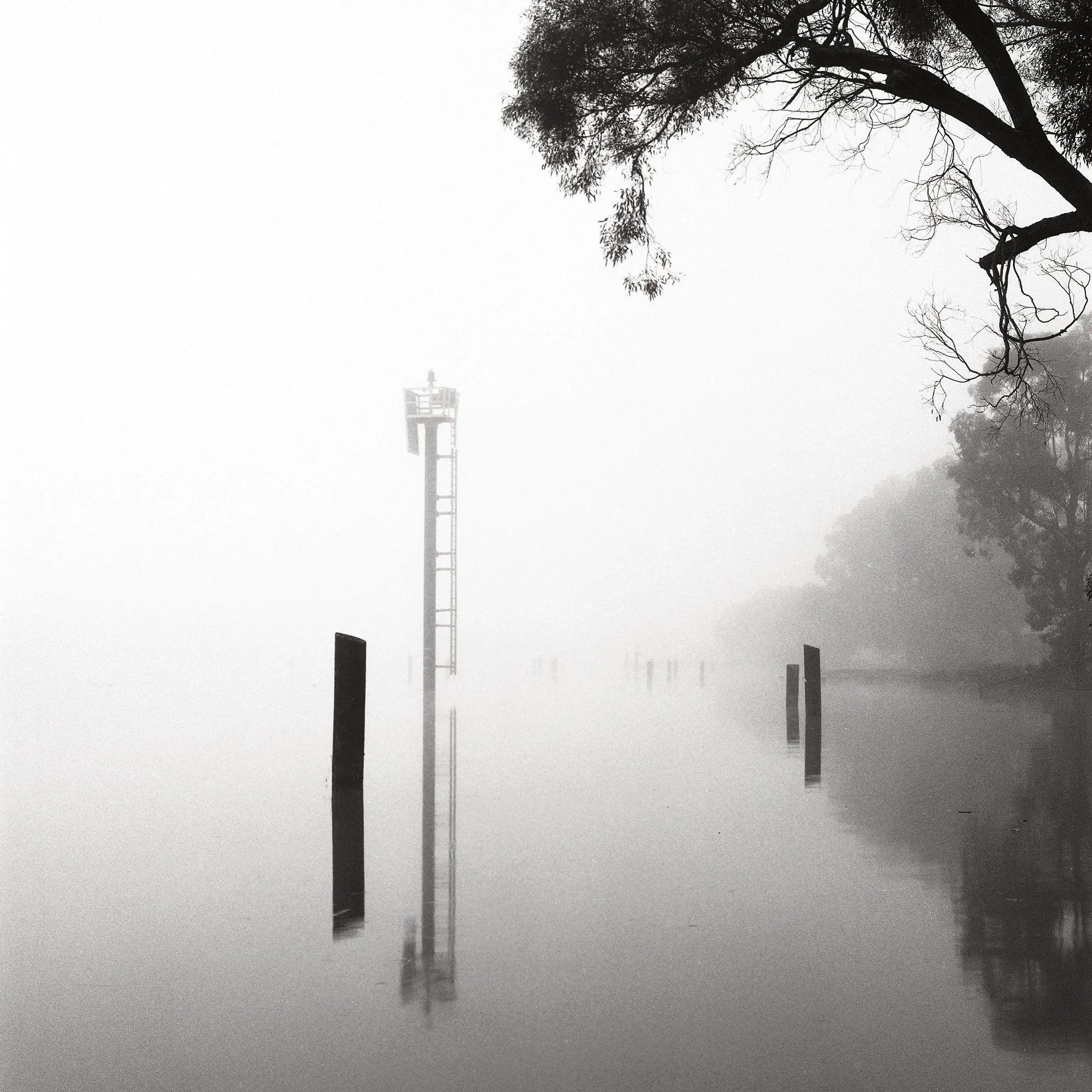 Fog, San Rafael