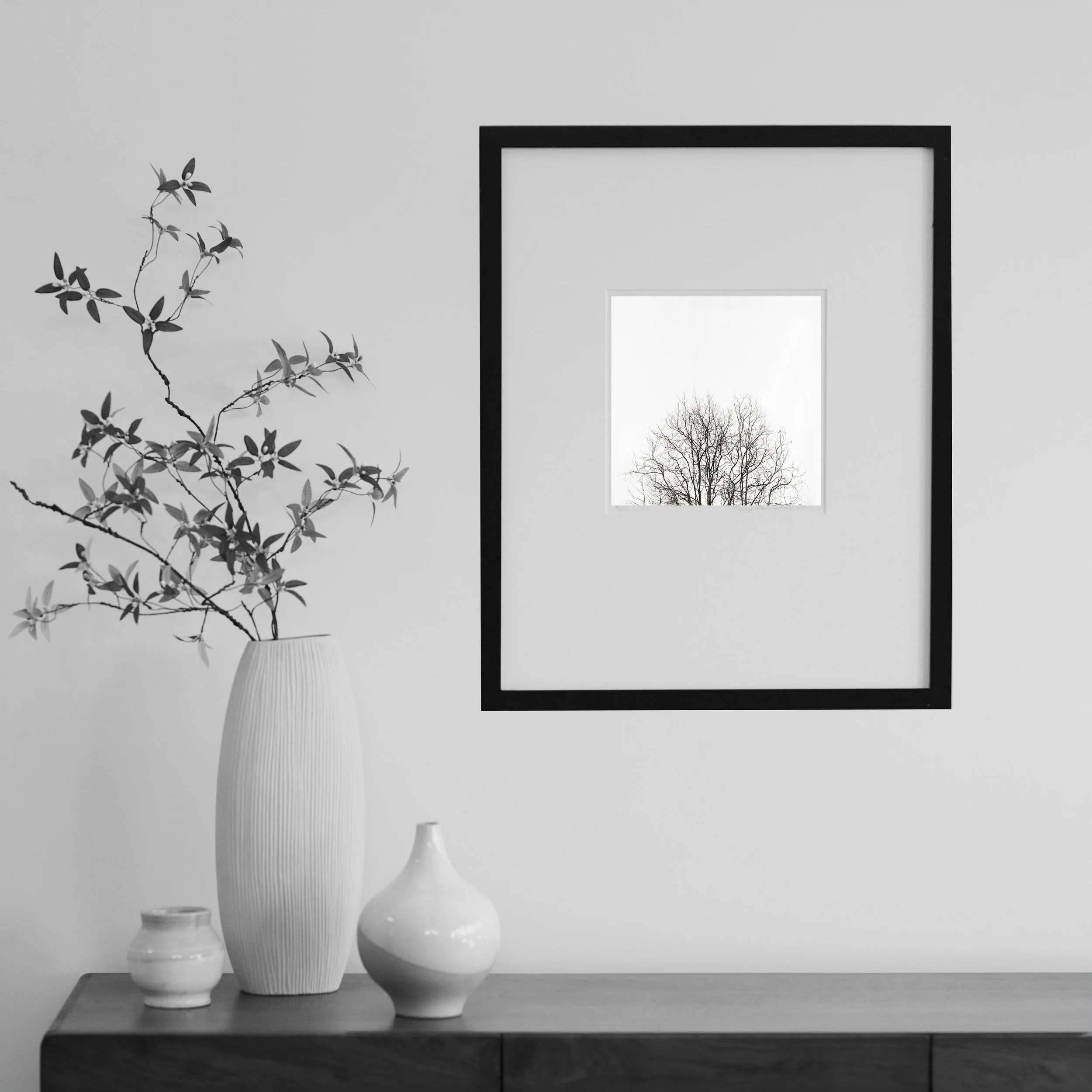 RoomSet_Trees_GoldenGatePark.jpg