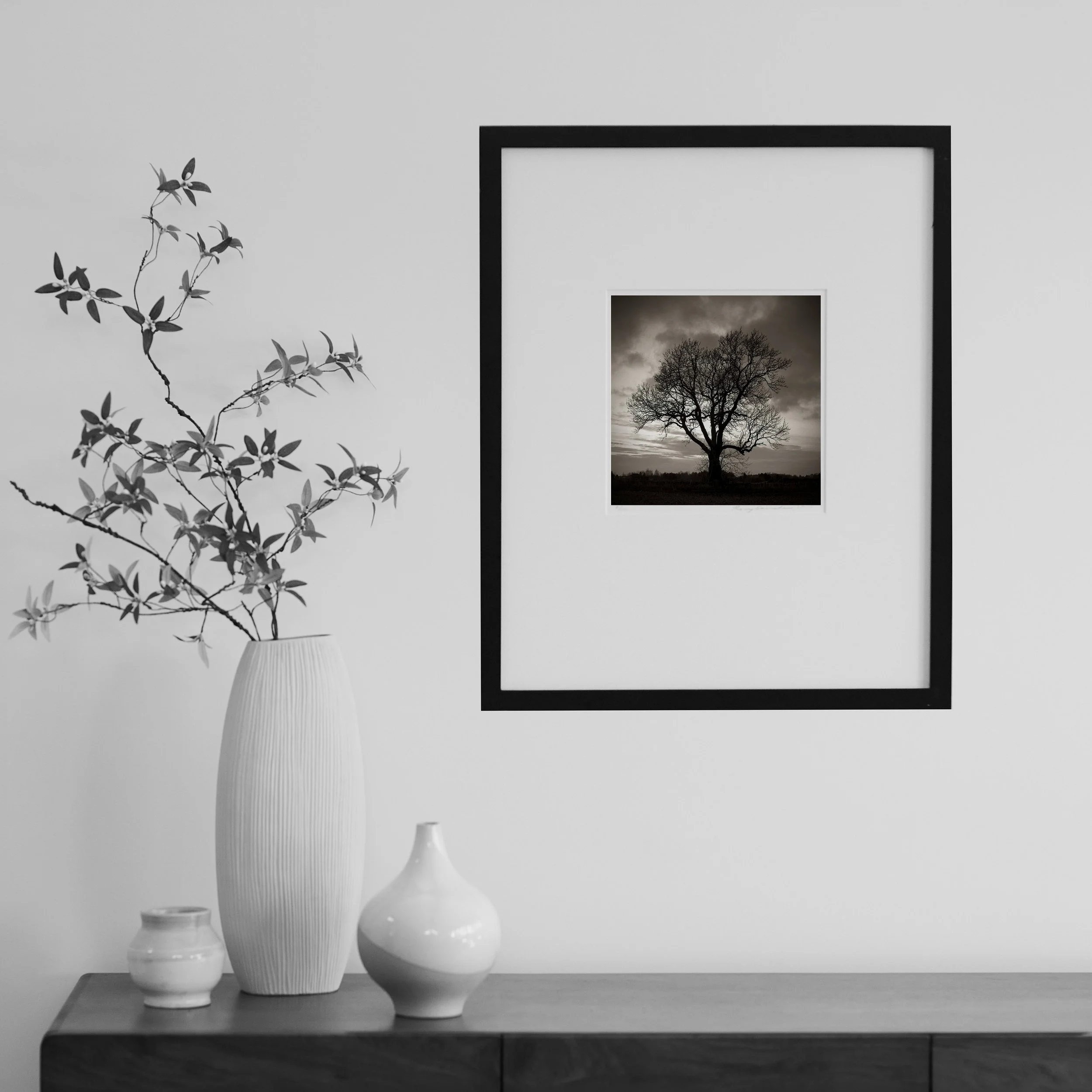 RoomSet_ScottishTree.jpg