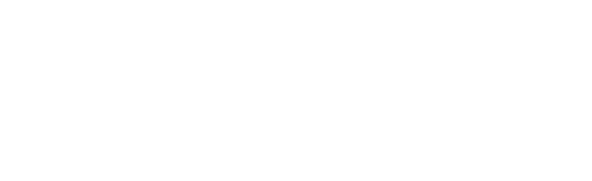 Playbook Consulting