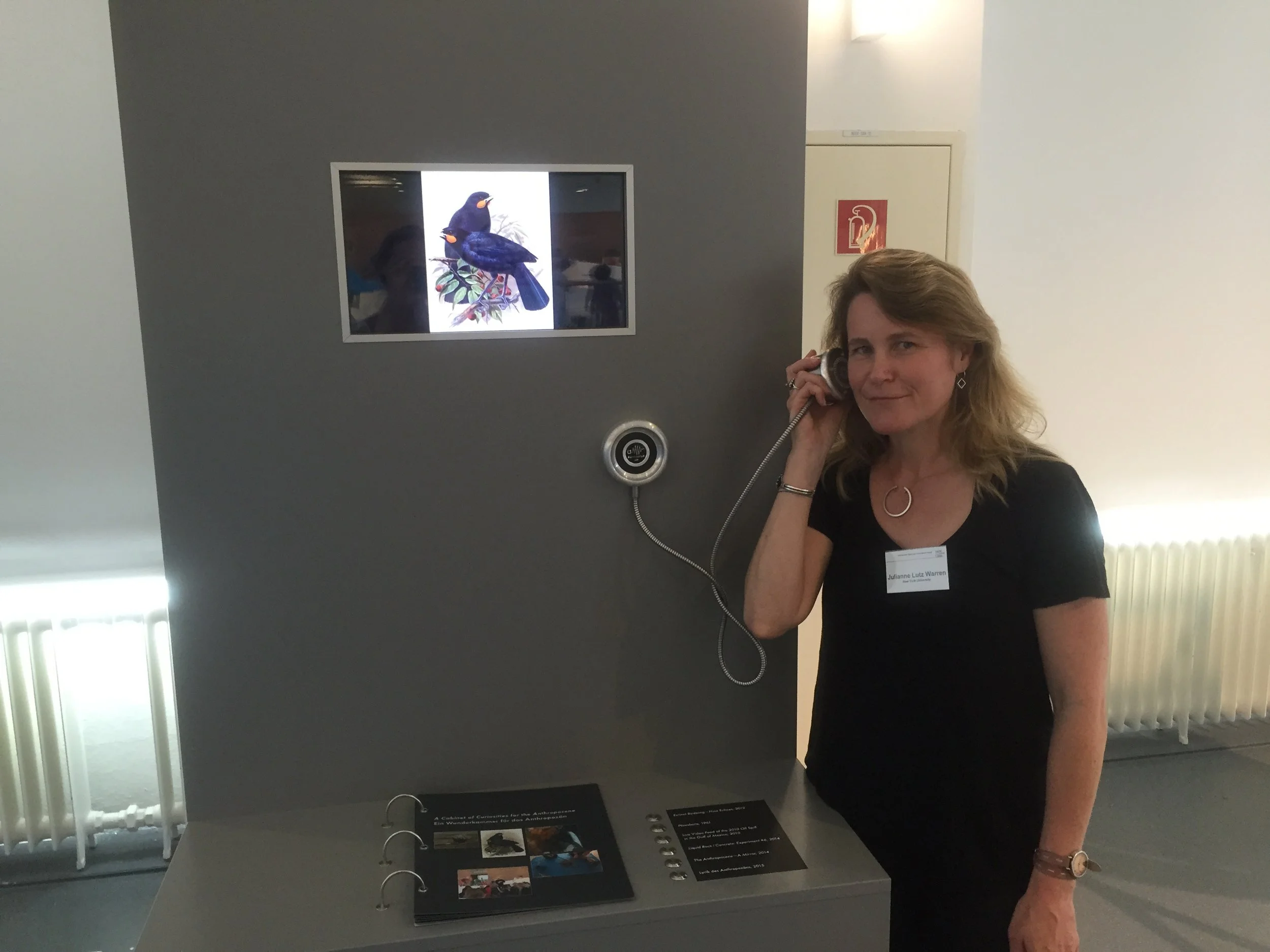 Museum exhibit with image of Huia, Catalogue, author holding the earpiece to her ear