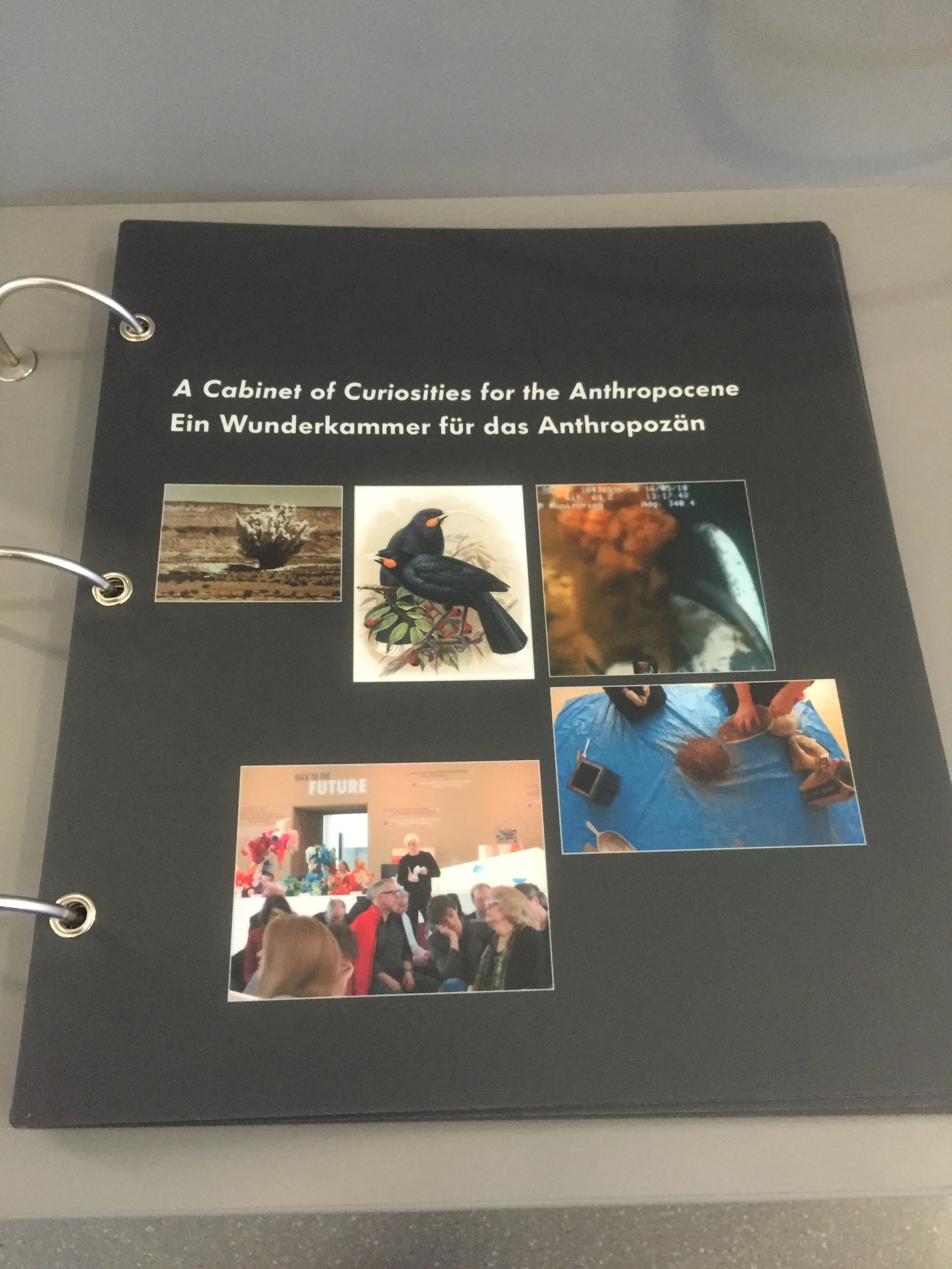 Catalogue cover: A Cabinet of Curiosities for the Anthropocene with five images including Huia