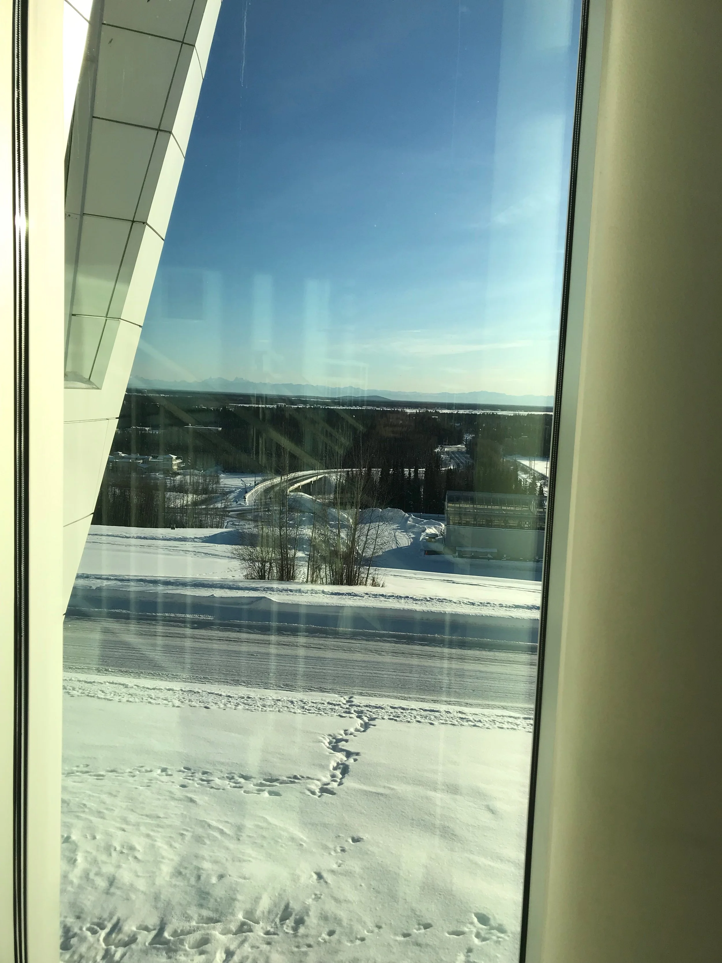 2018, Hopes Echo: Learning An Extinct Birdsong for Ecosphere Healing, Video of multimedia presentation at Middlebury College, Vermont, 48 minutes