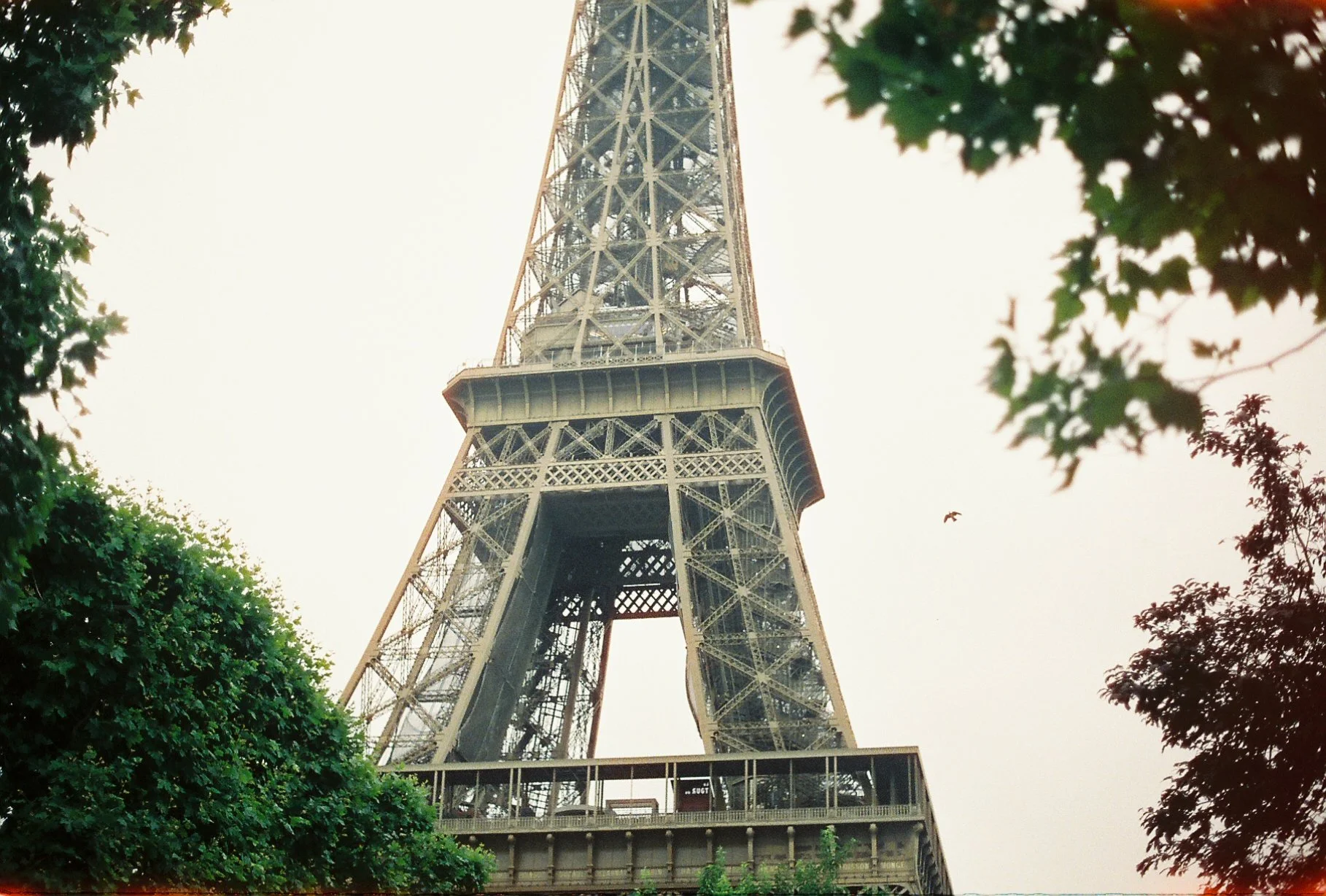 The Eiffel Tower seen from below framed by green trees on both sides and an overcast sky.