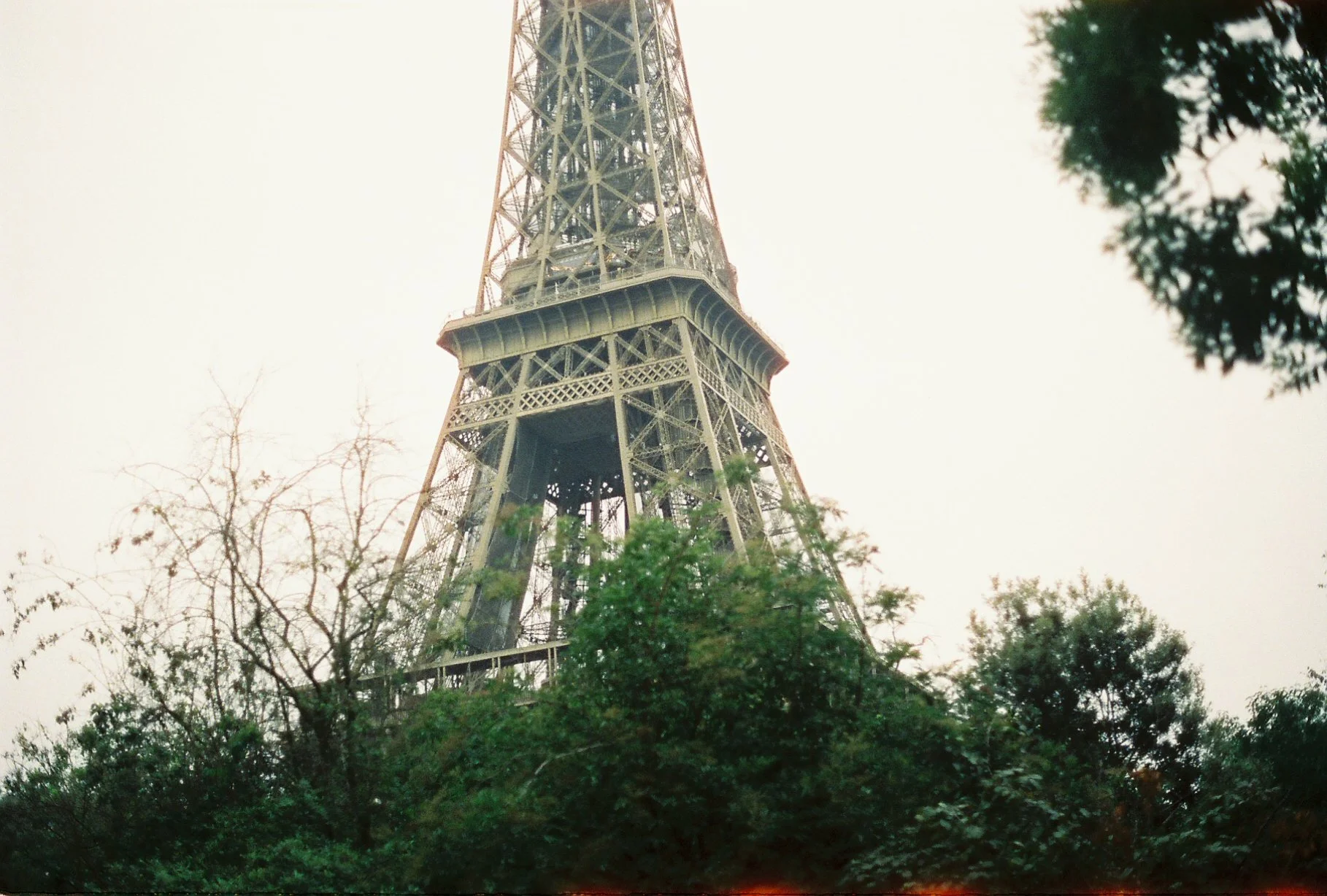 View of the Eiffel Tower from below, surrounded by trees.