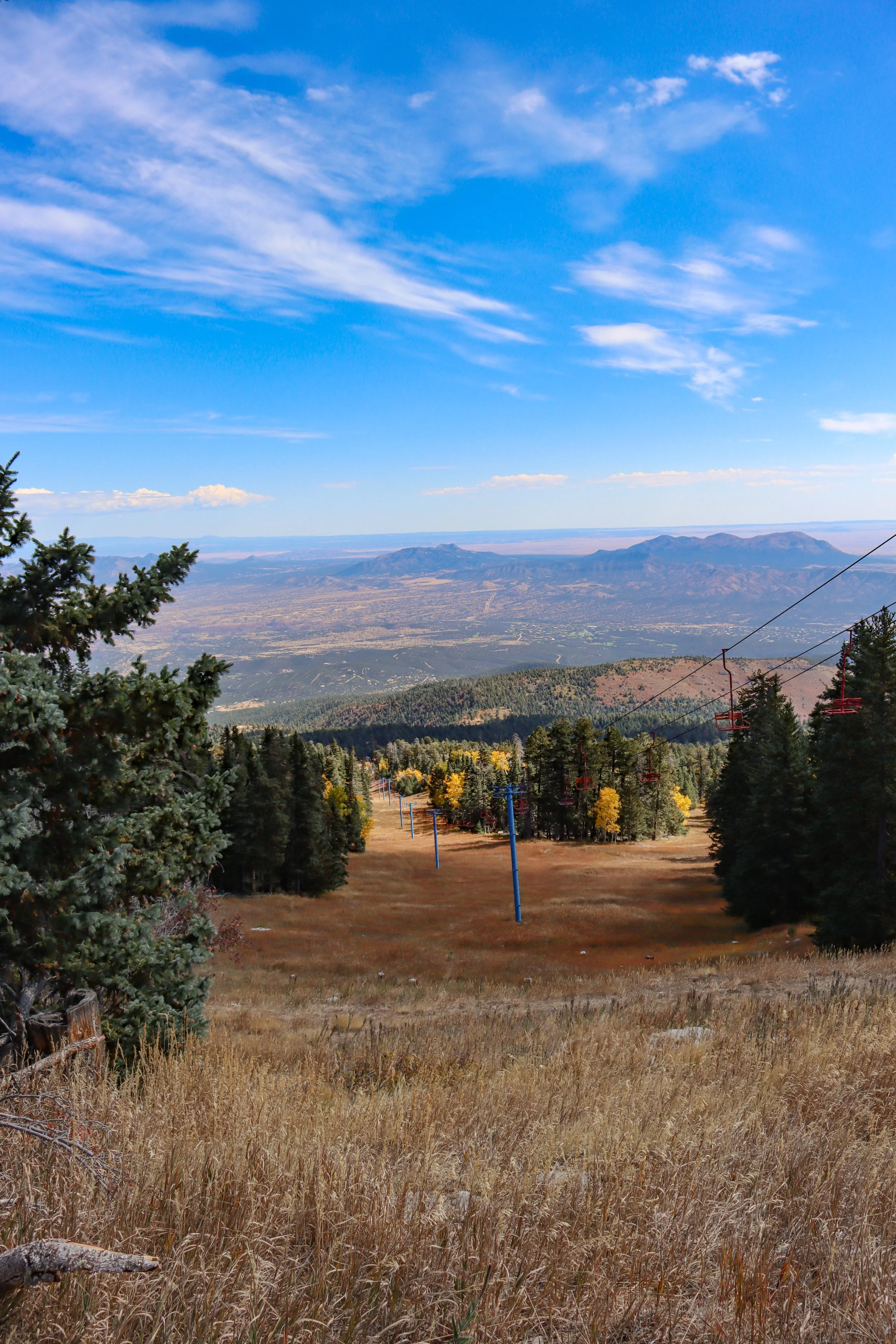 A landscape view of mountains in the background under a partly cloudy blue sky. In the foreground, there is a grassy field with tall, dry grass and a few pine trees on the left side, along with a ski lift running through the scene.