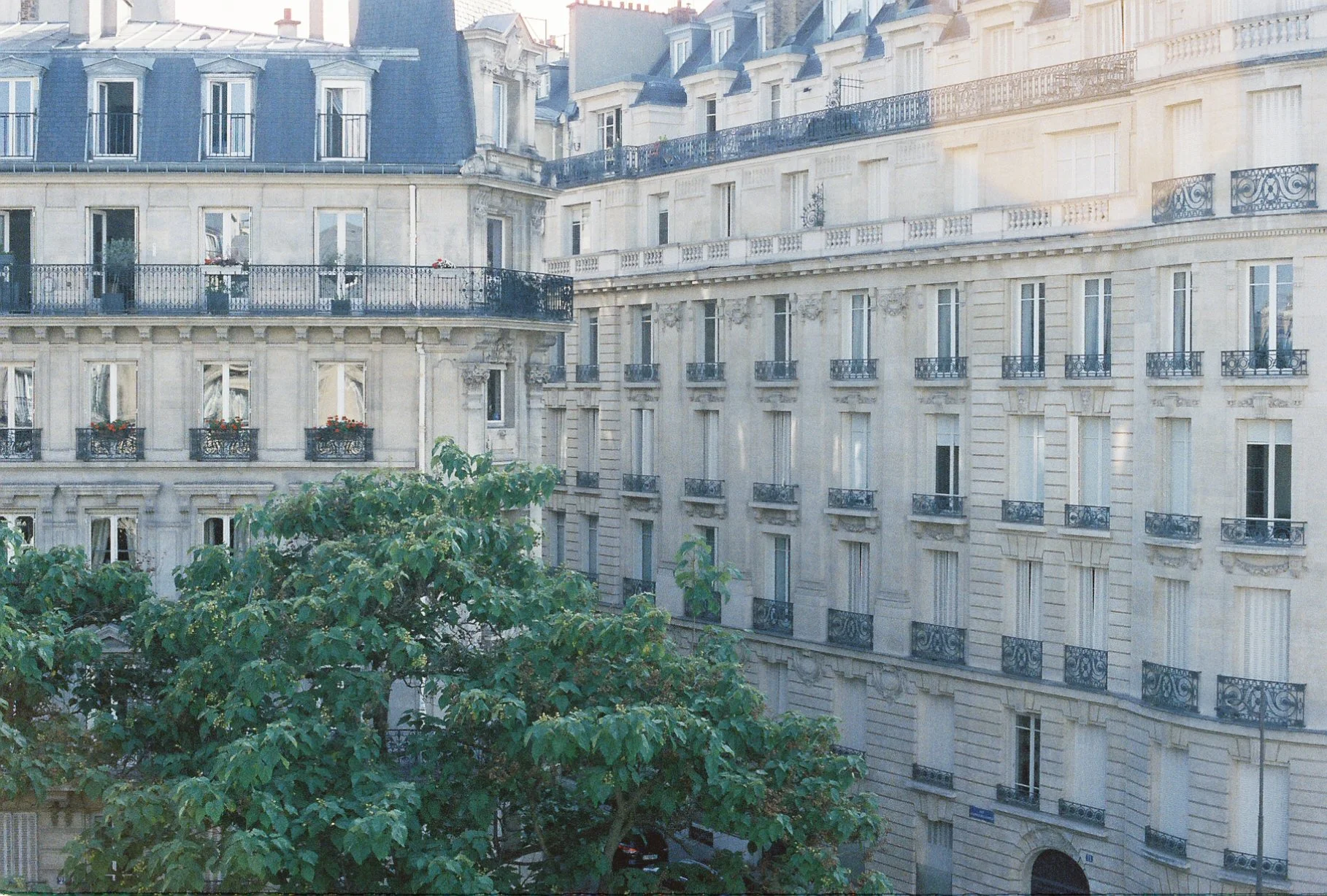 Parisian apartment buildings with decorative facades and wrought iron balconies, with a tree in the foreground and sunlight illuminating the buildings.