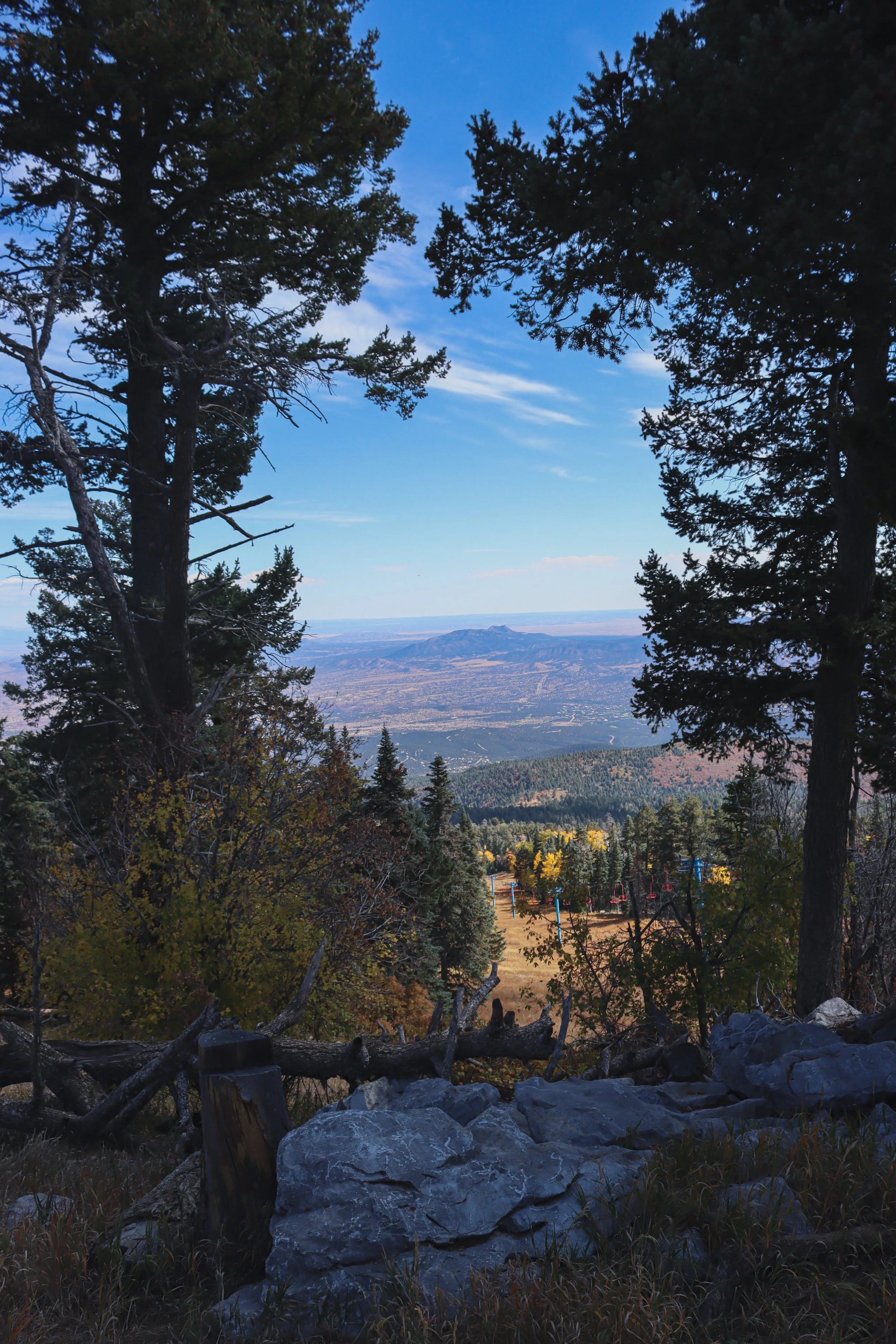 View of a scenic landscape with tall pine trees in the foreground, rocky ground with fallen branches, and a distant valley with hills and mountains under a partly cloudy sky.