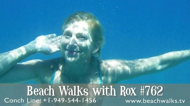 Beach Walk 762 - Whale Instead of Sail on Maui