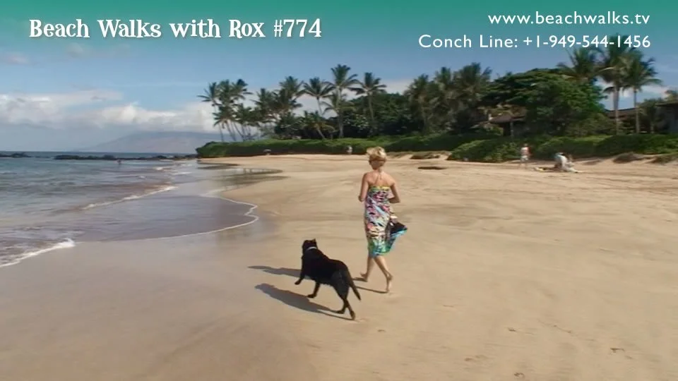 Beach Walk 774 - Releasing Resistance