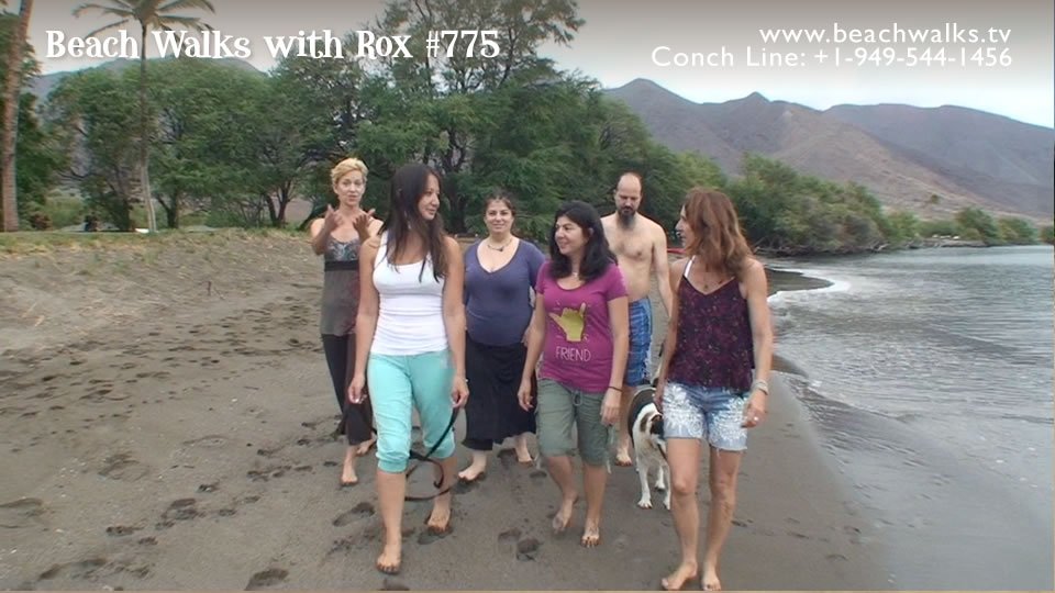 Beach Walk 775 - Kupu Maui, A Beach Full of Gratitude