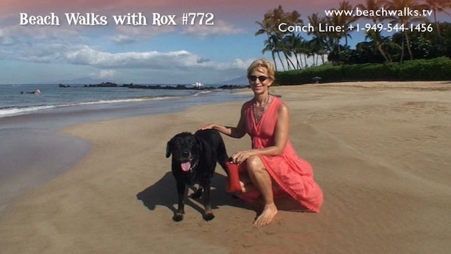 Beach Walk 772 - Take a Kid to Work? Nah!