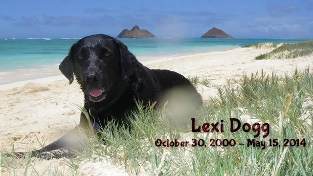 Saying Good Bye to Lexi Dogg, Sort Of