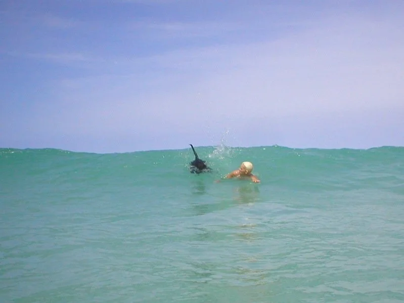 photo of turquoise ocean water with Lexi Dogg (a black lab) catching a wave with her human, Rox, who is body surfing
