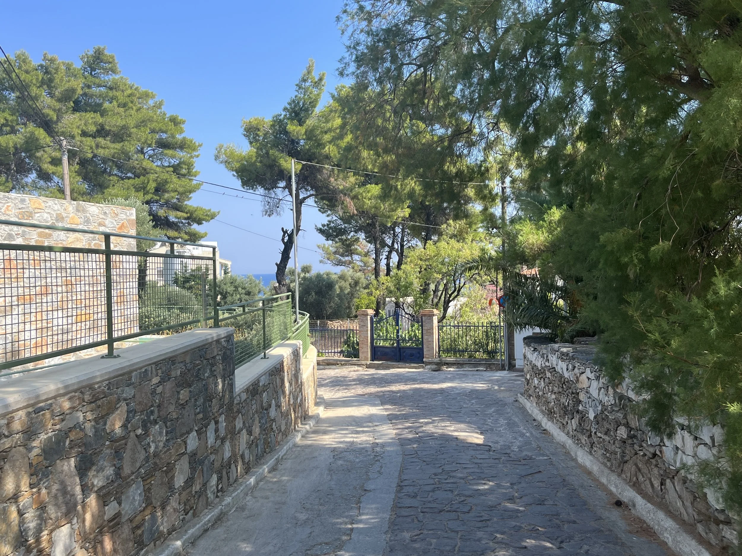 The winding cobblestone road Katerina took on her runs.