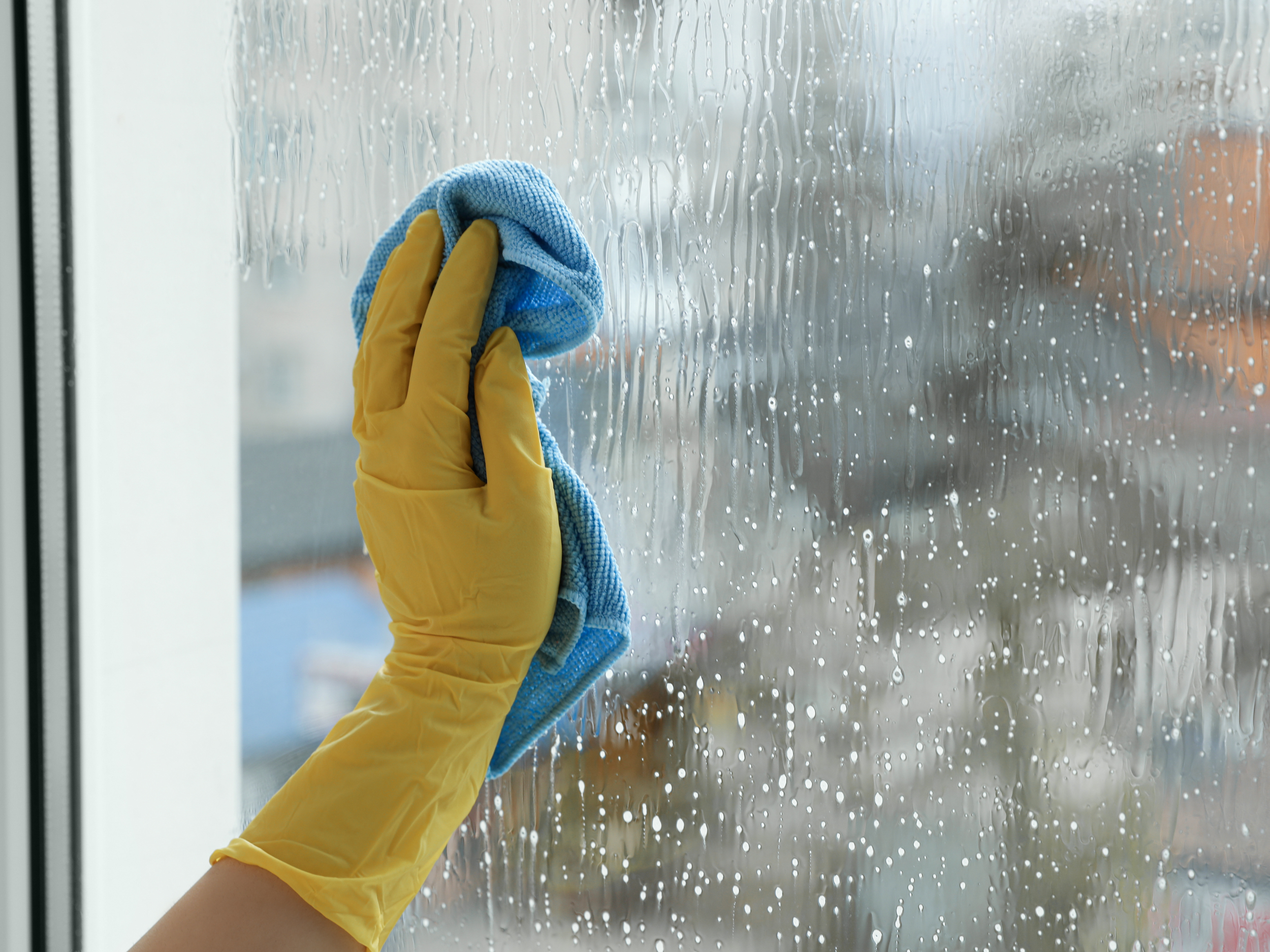 window cleaning.png