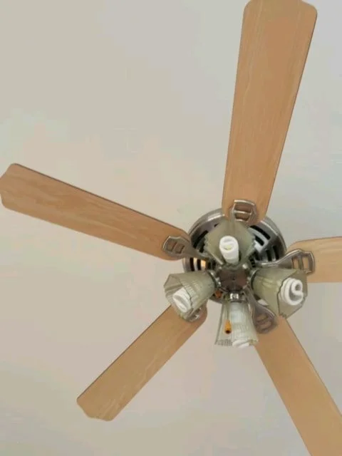 videocapture-20210921-000247_orig.jpg