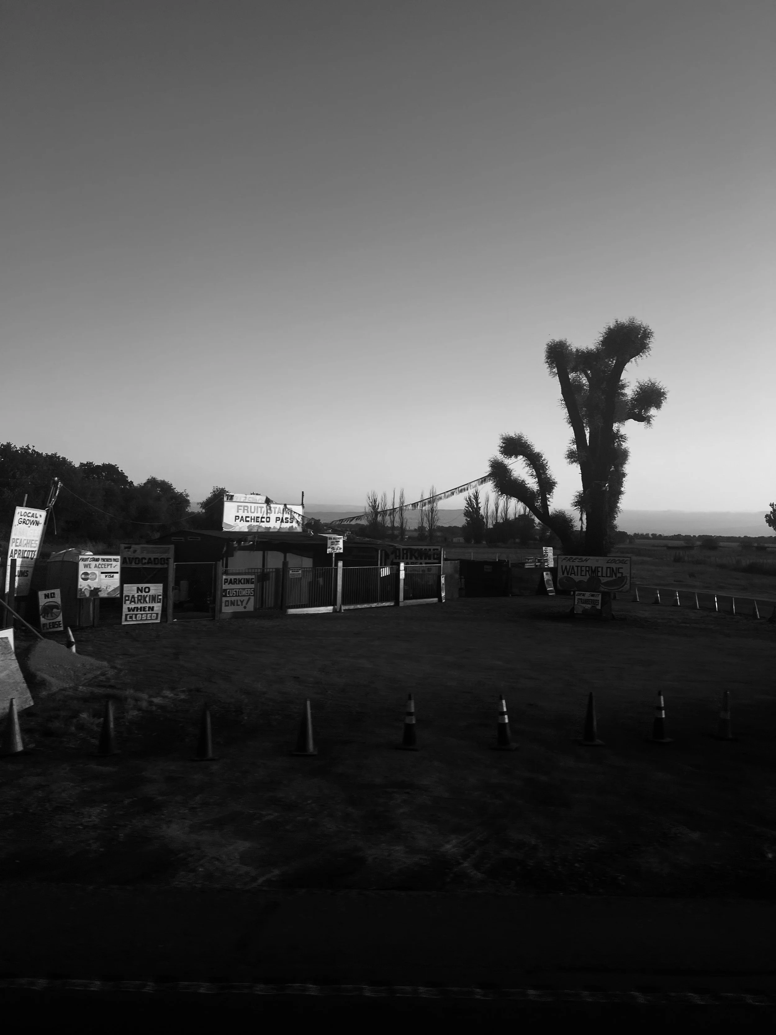 IMG_4411.jpeg