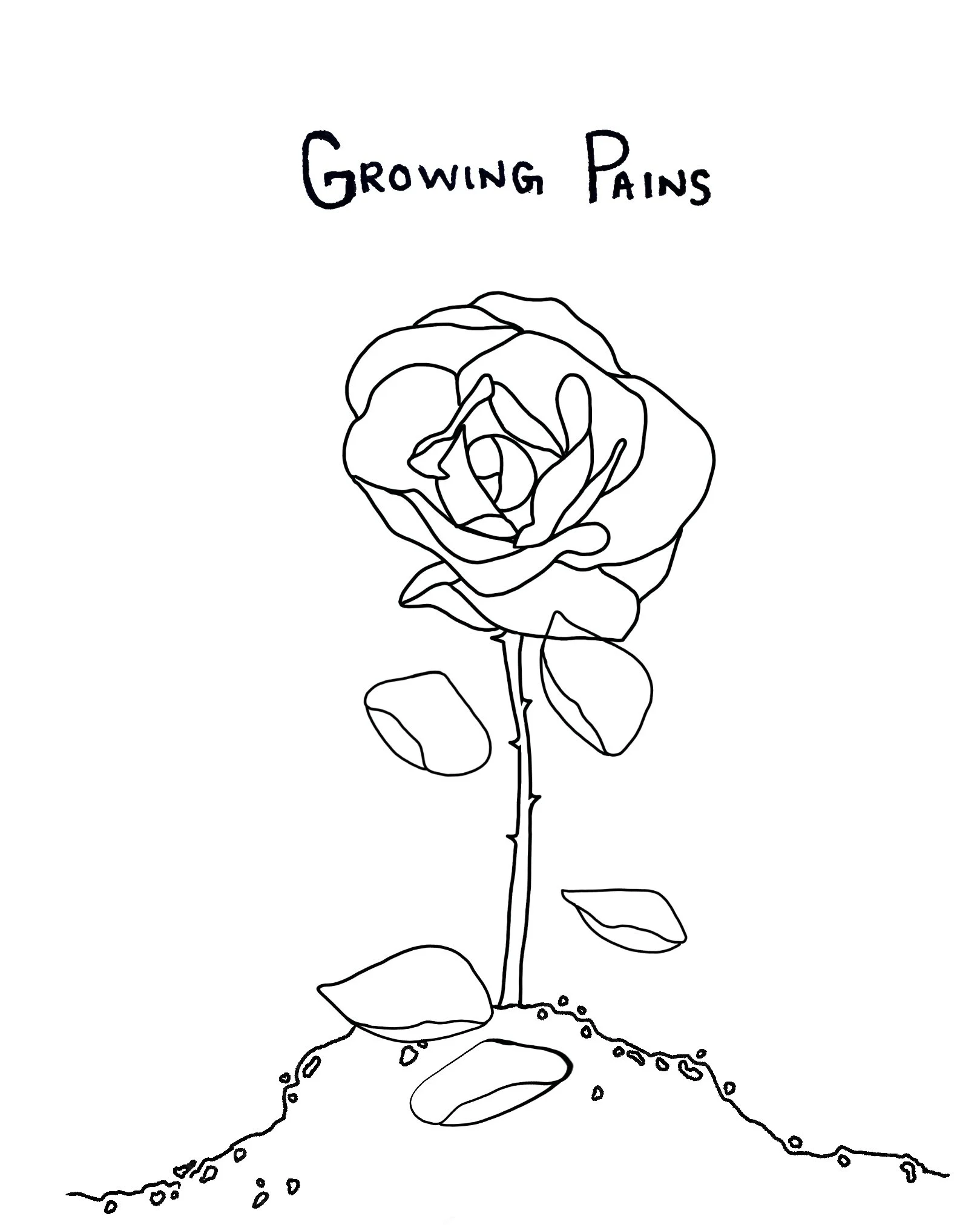 IMG_2059.png