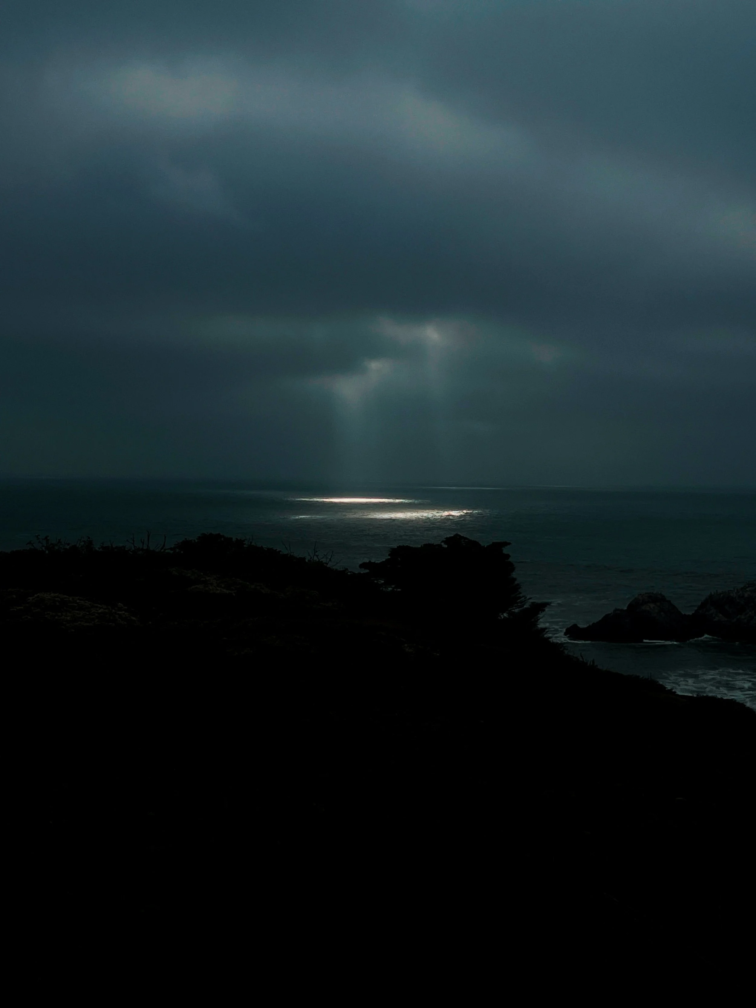 Filca_D39665F0-7C37-4C28-A998-18D9C75BFDF6.jpg