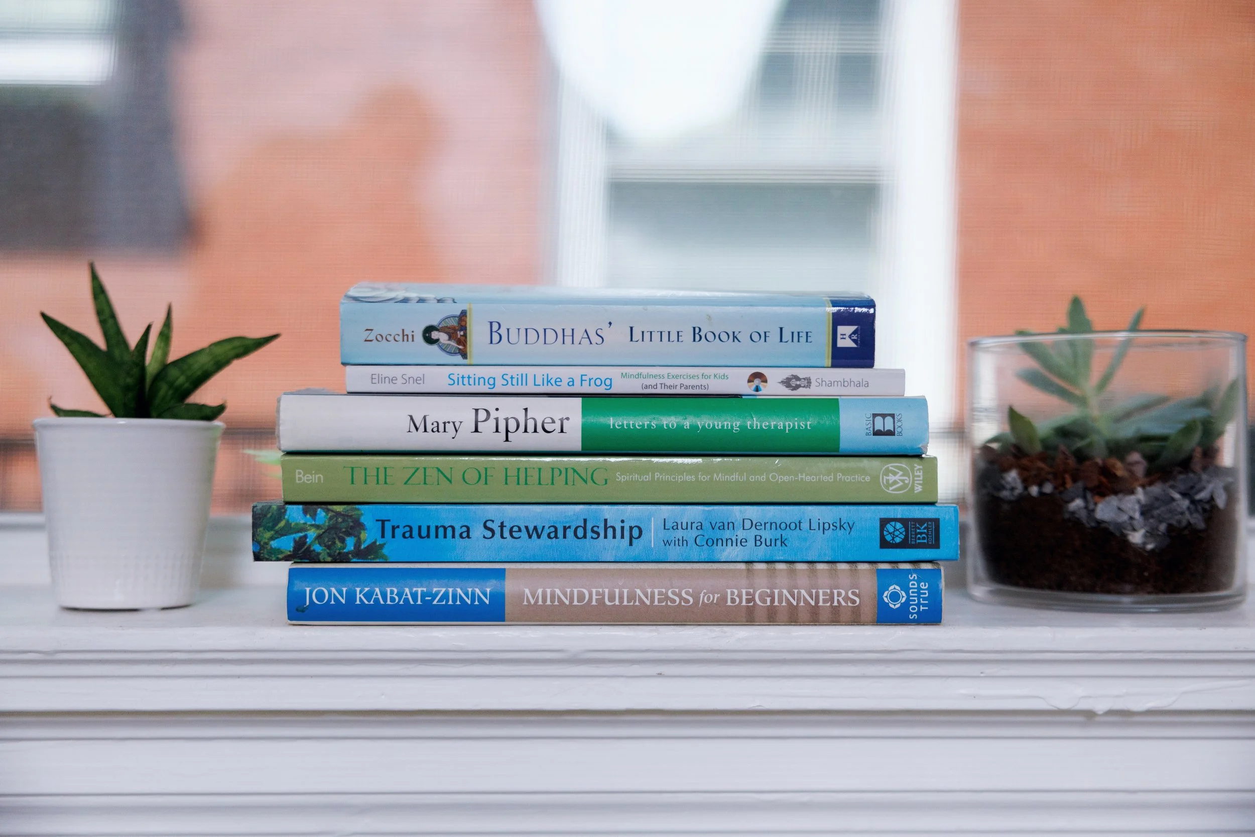 Stack of seven books on a white shelf, flanked by potted plants on either side, with a blurred window in the background.