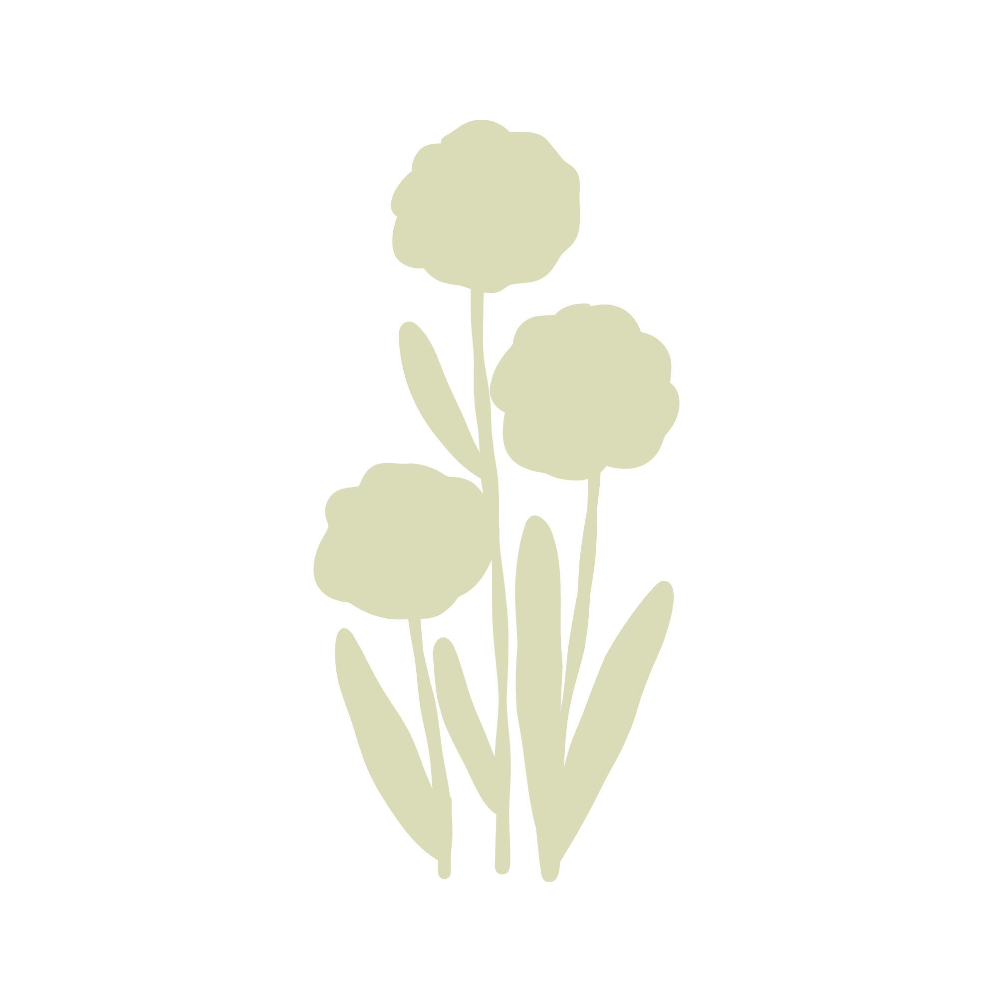 Minimalist illustration of a plant with light-colored leaves and flowers against a black background.