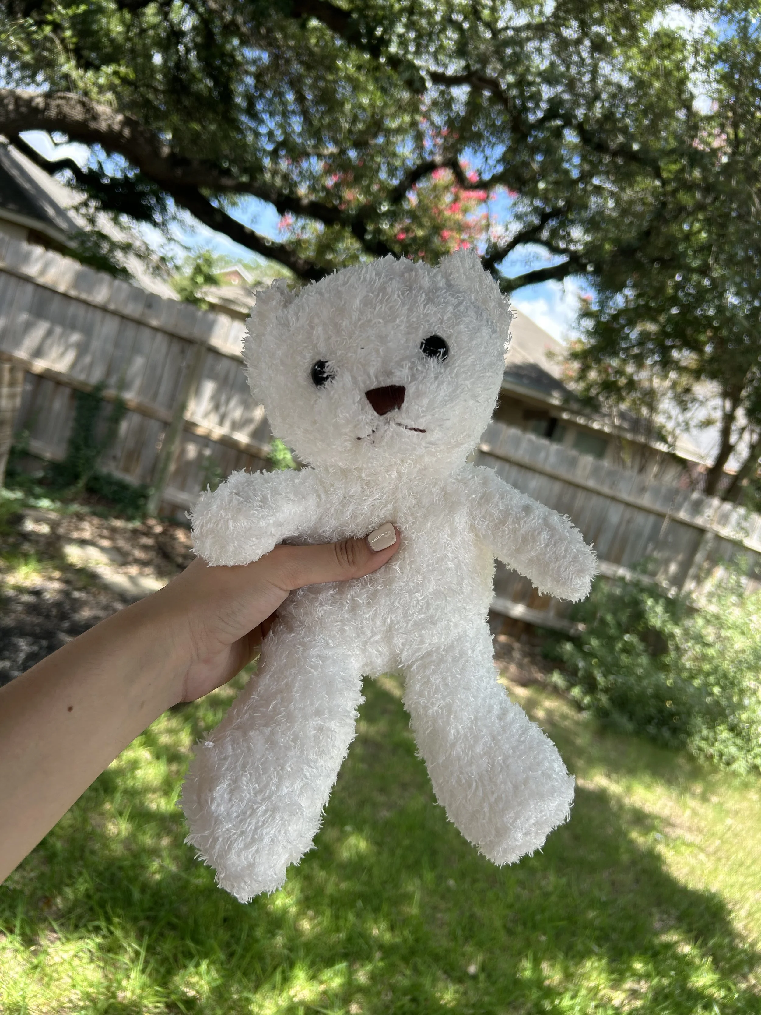 Teddy Bear Plushie