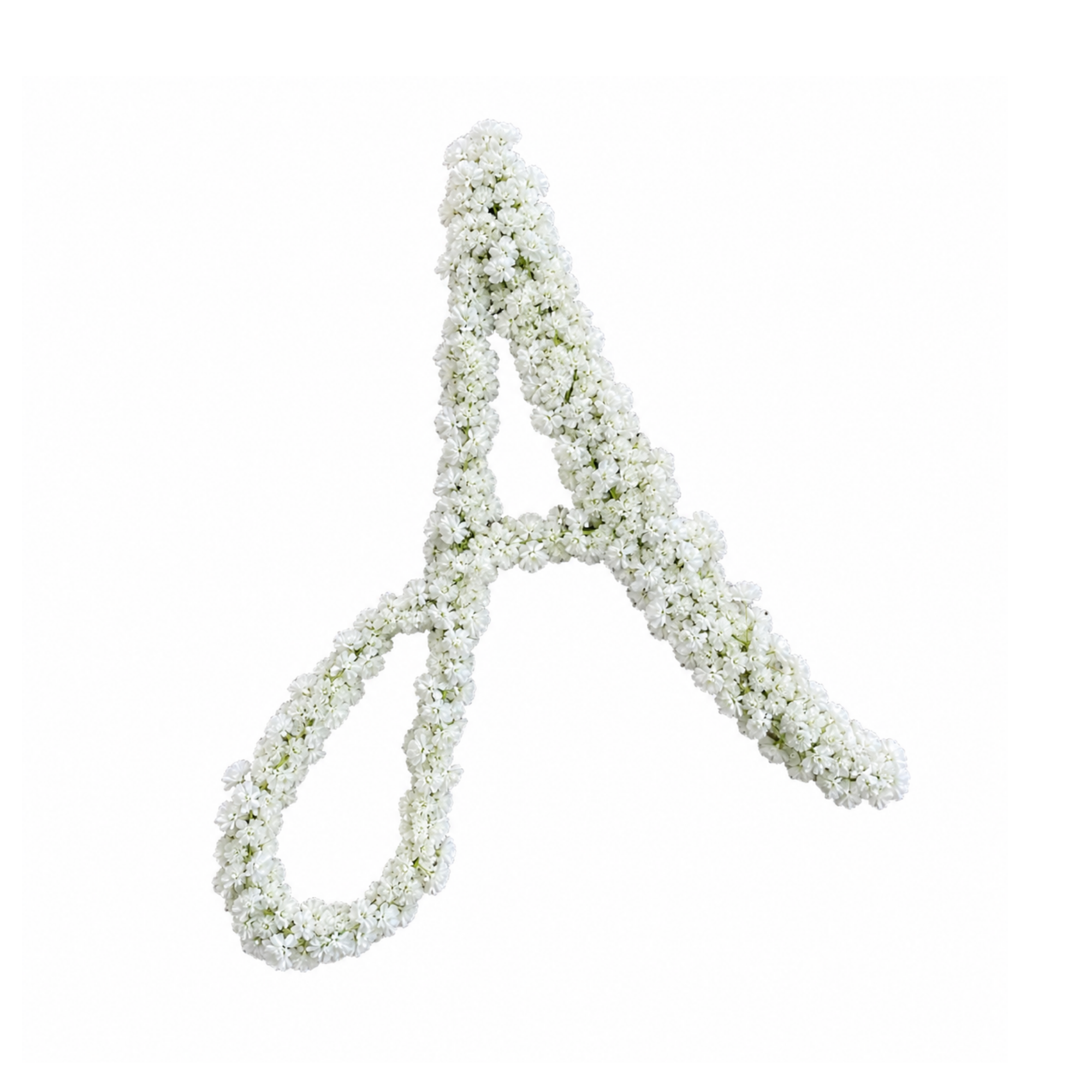 Baby Breath Initial