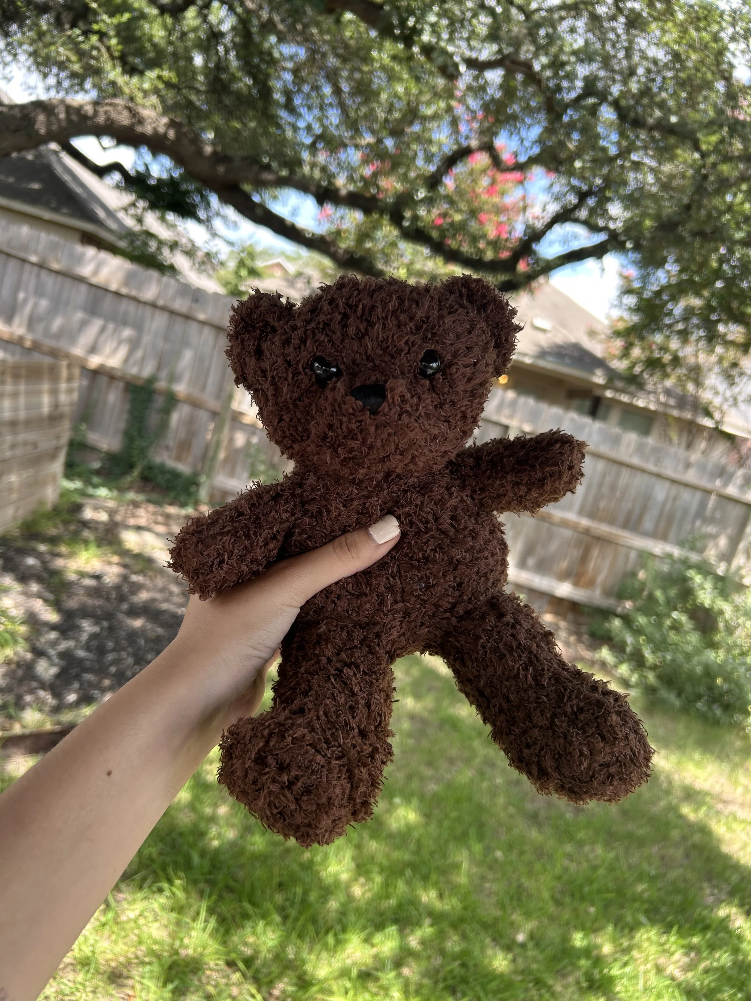 Teddy Bear Plushie