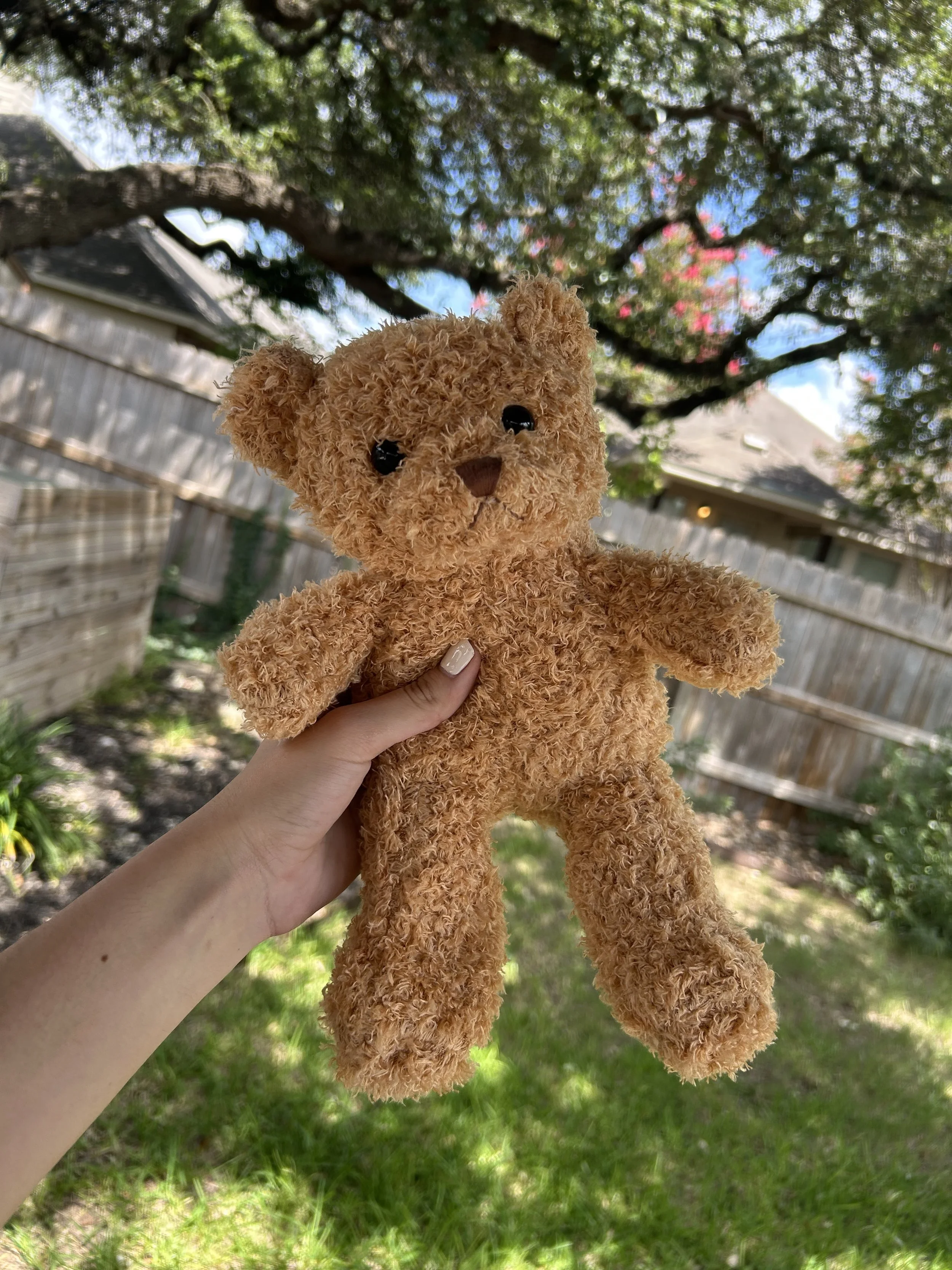 Teddy Bear Plushie