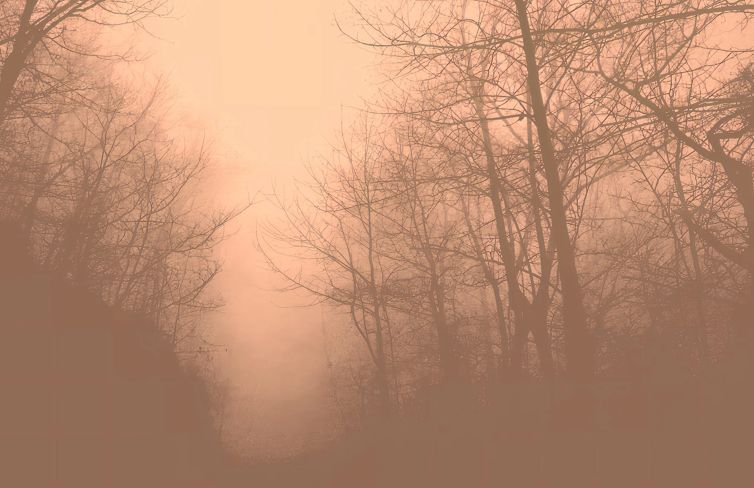 FogState