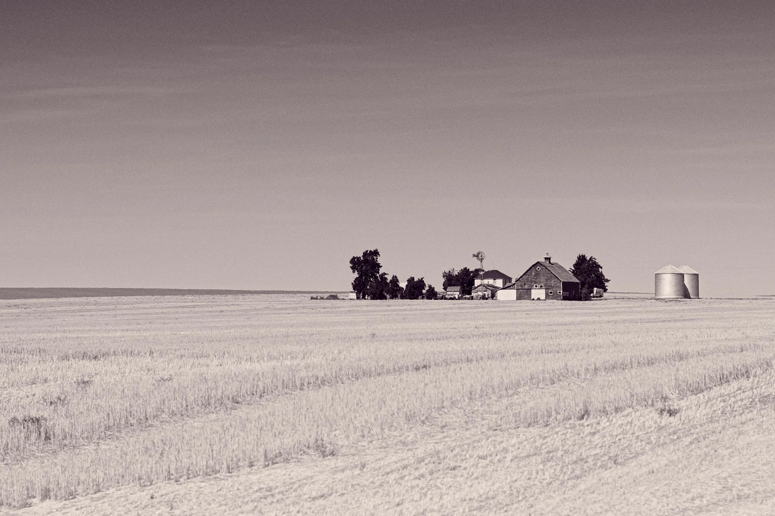 Prairie Dreams