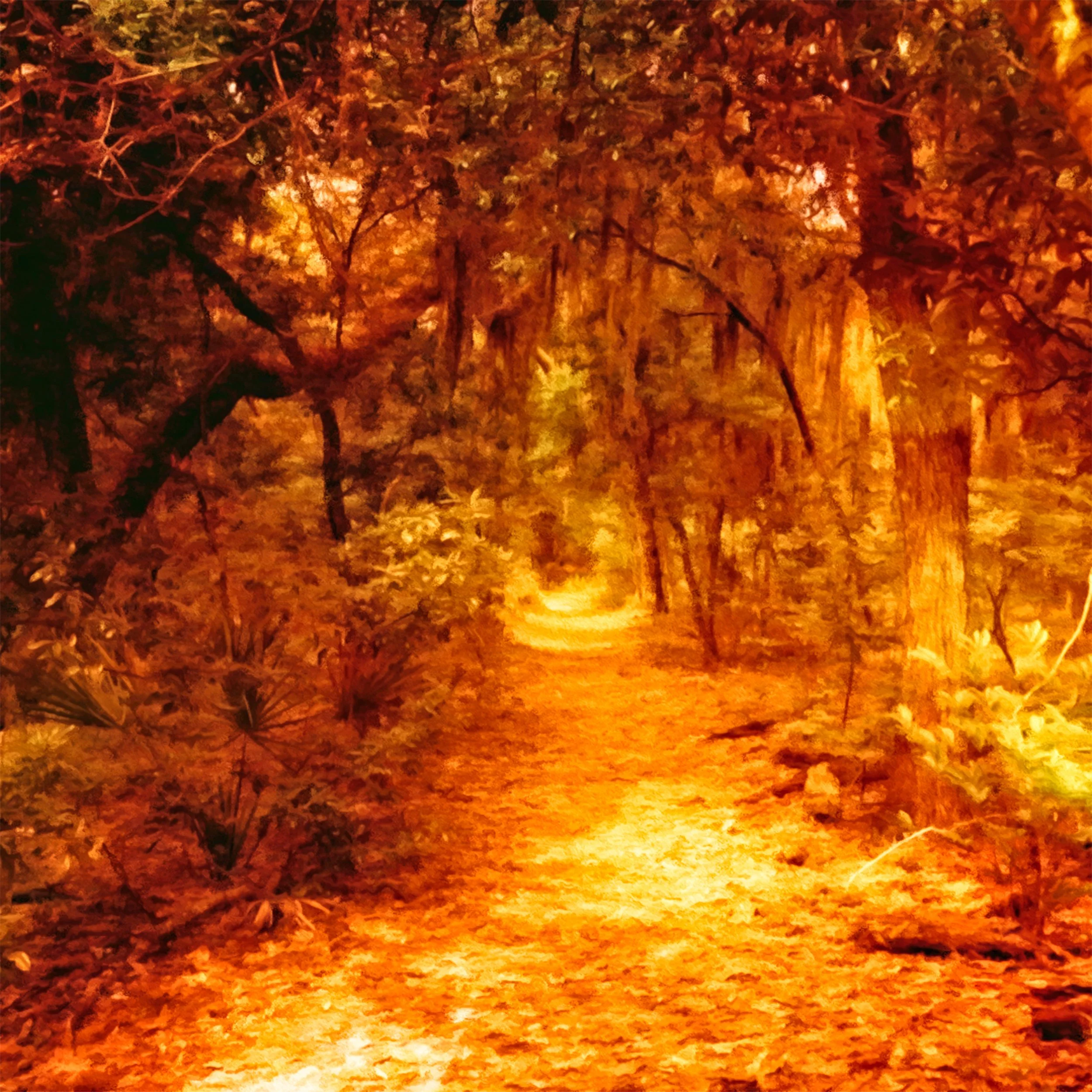 swamptrail.jpg