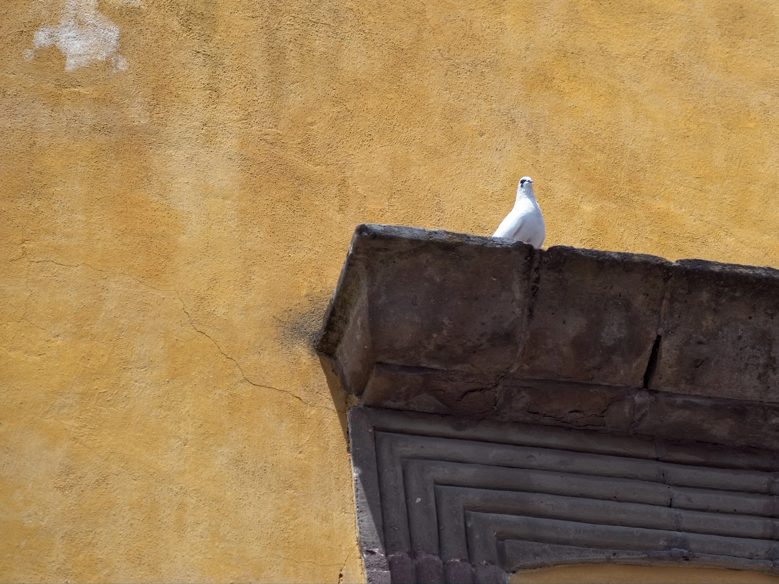On the Ledge.jpg