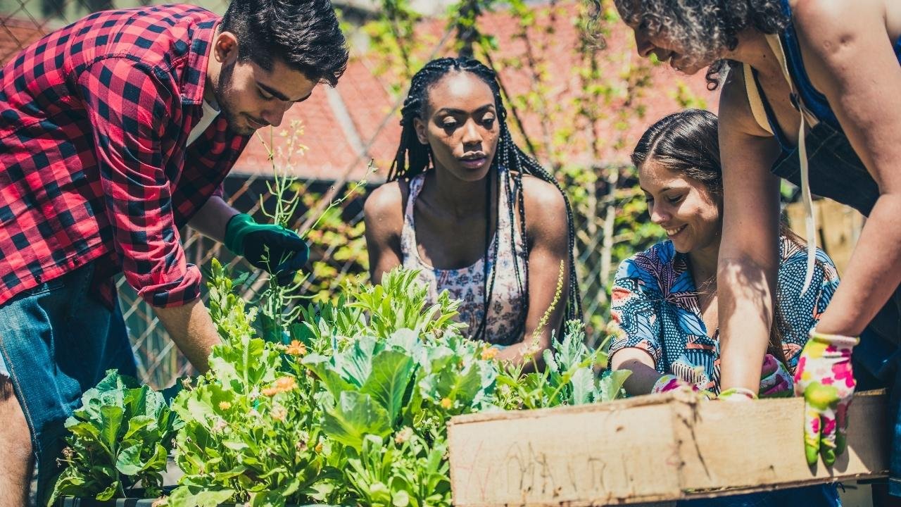 Weekend Green Thumb Warriors: Seasonal Gardening Class