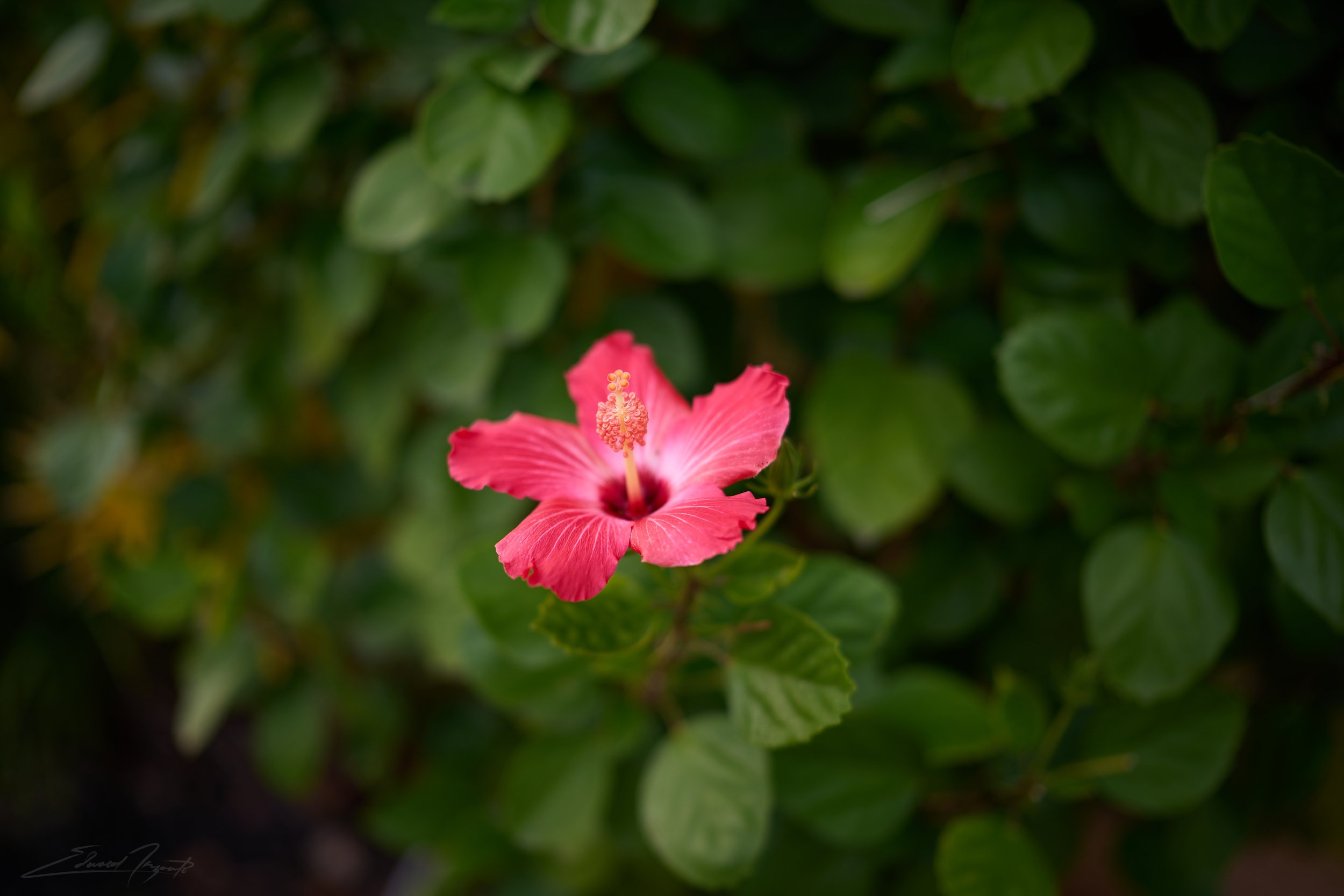 2025-11-15_28mm testing_ZFN_5385 2.jpg