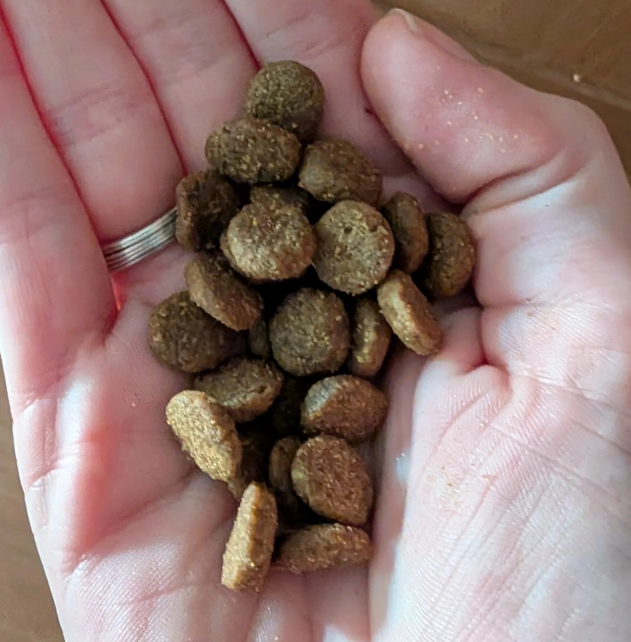That Bag of Kibble You Have Been Using for Two Months? We Need to Talk.