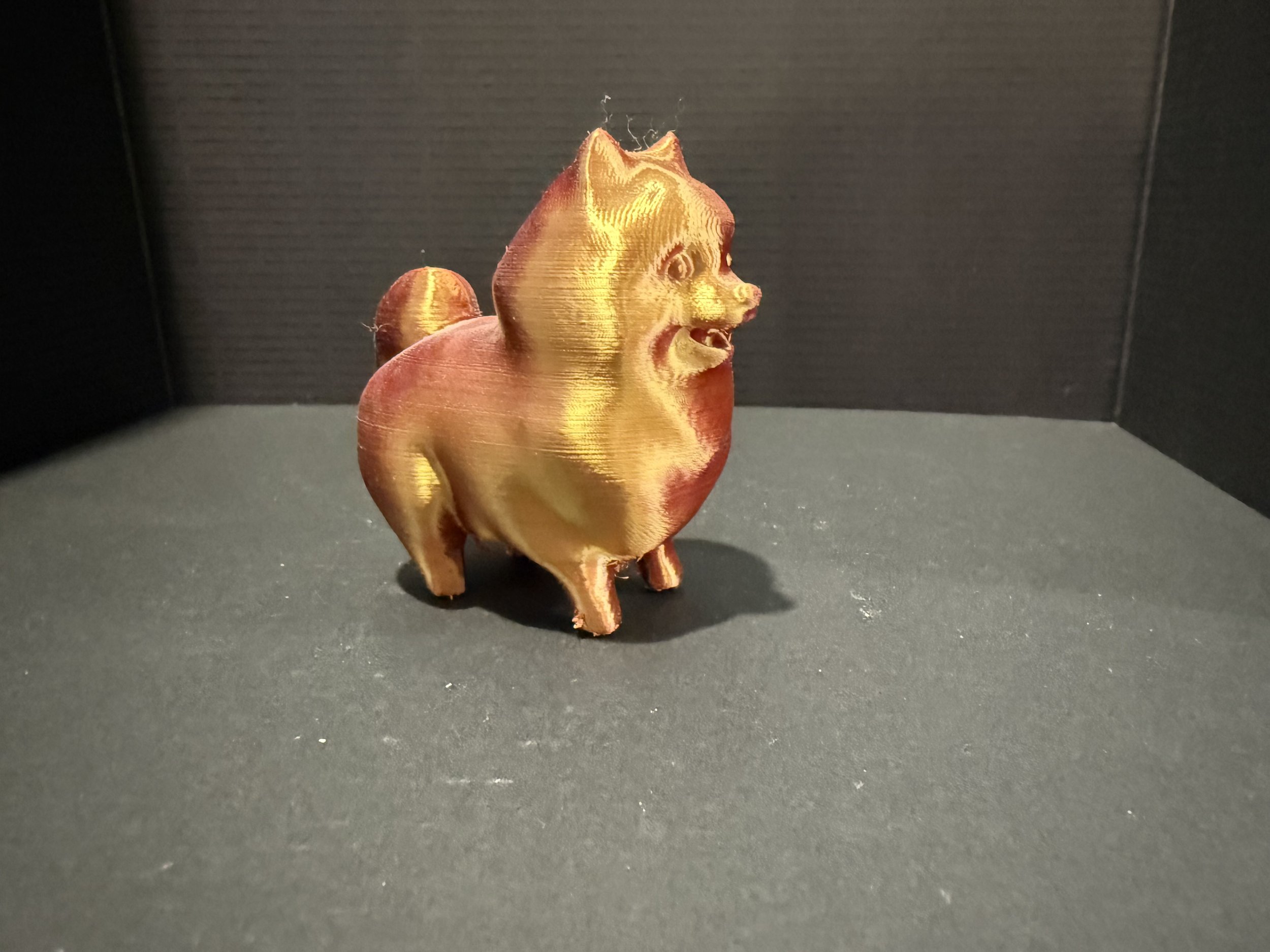pomeranian-gallery.jpg