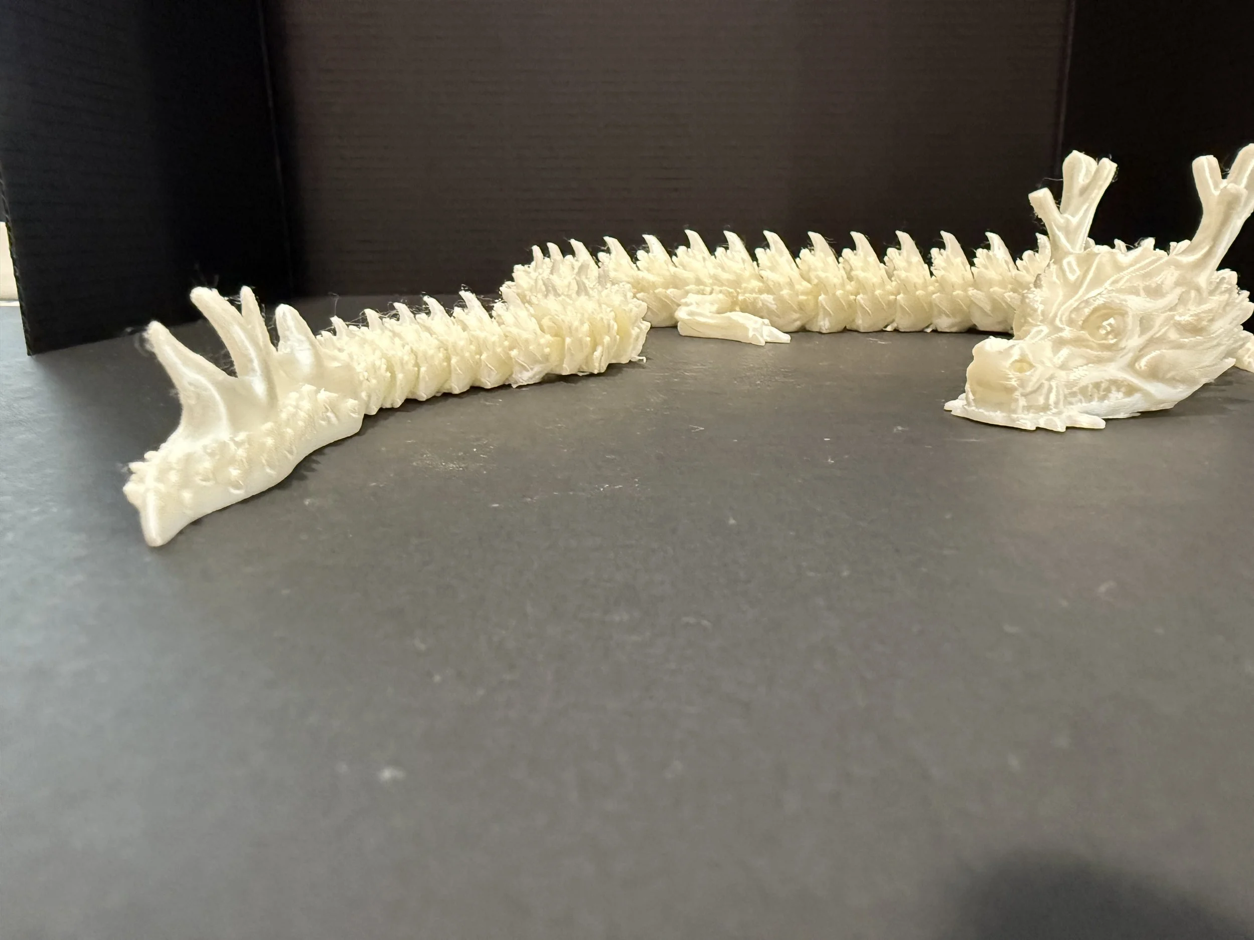 skeletal-dragon-gallery.jpg