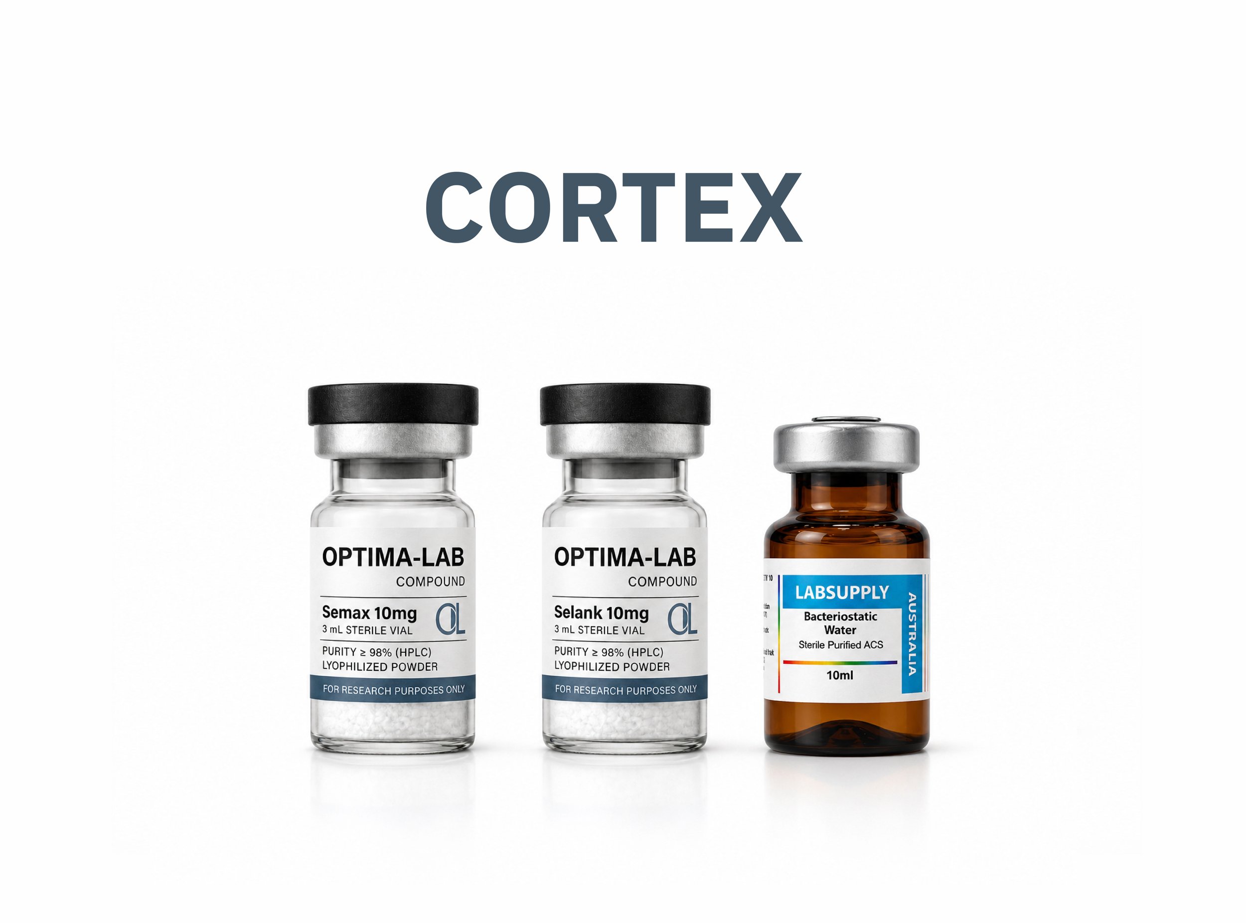 CORTEX-01.jpg