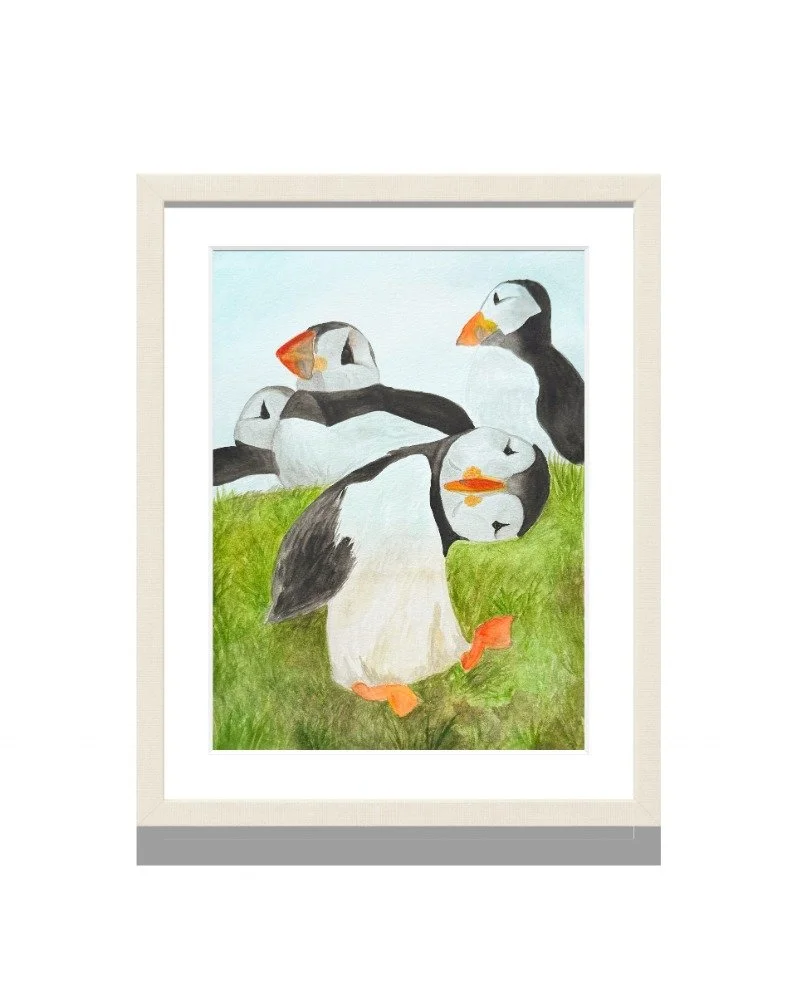 puffinframe.jpg