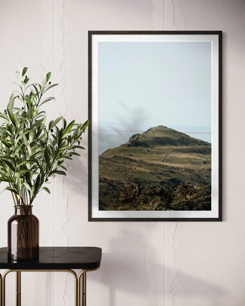 Antelope Island Print