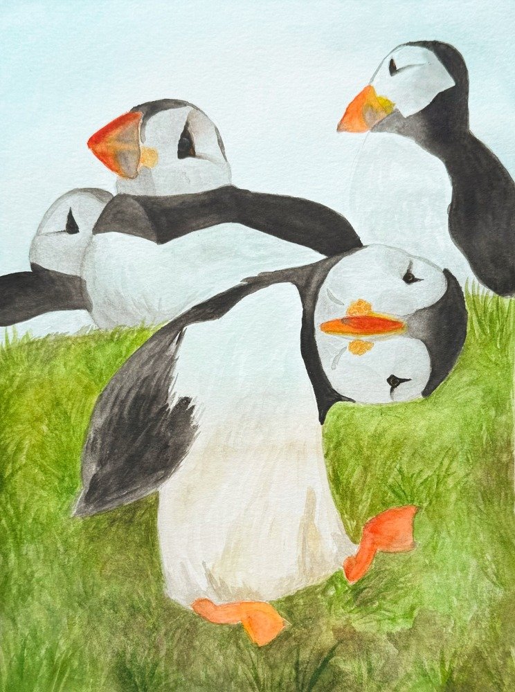 puffin1.jpg