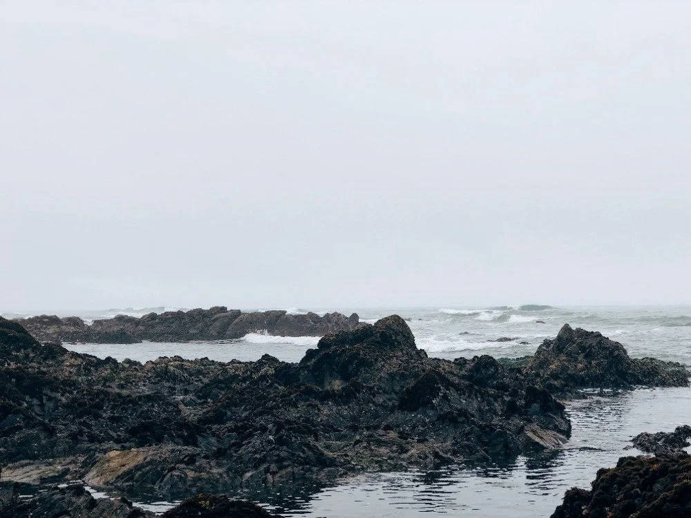 Rocky shoreline on a cloudy, overcast day at the ocean with waves crashing against the rocks.
