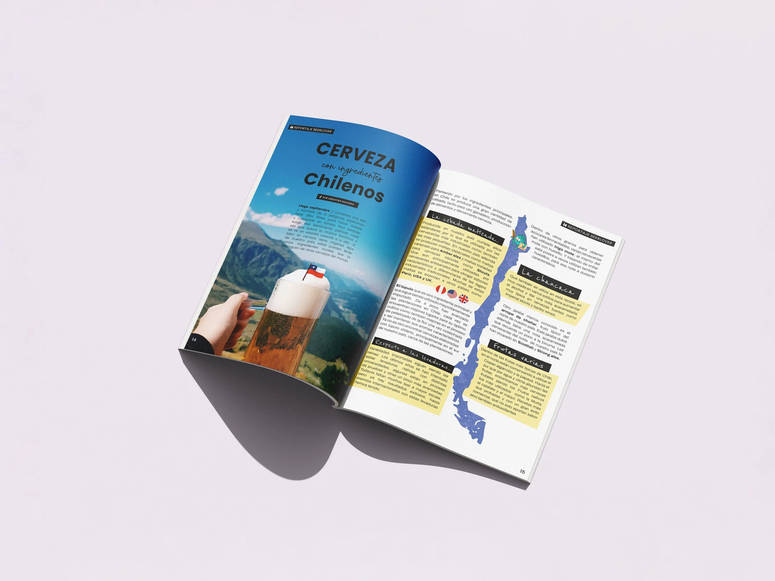 Mockup-Revista-salú.jpg